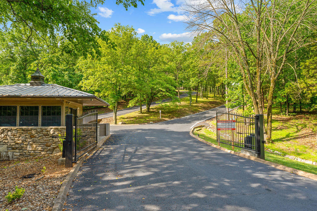 541 Ozark Mountain Resort Drive Property Photo 7