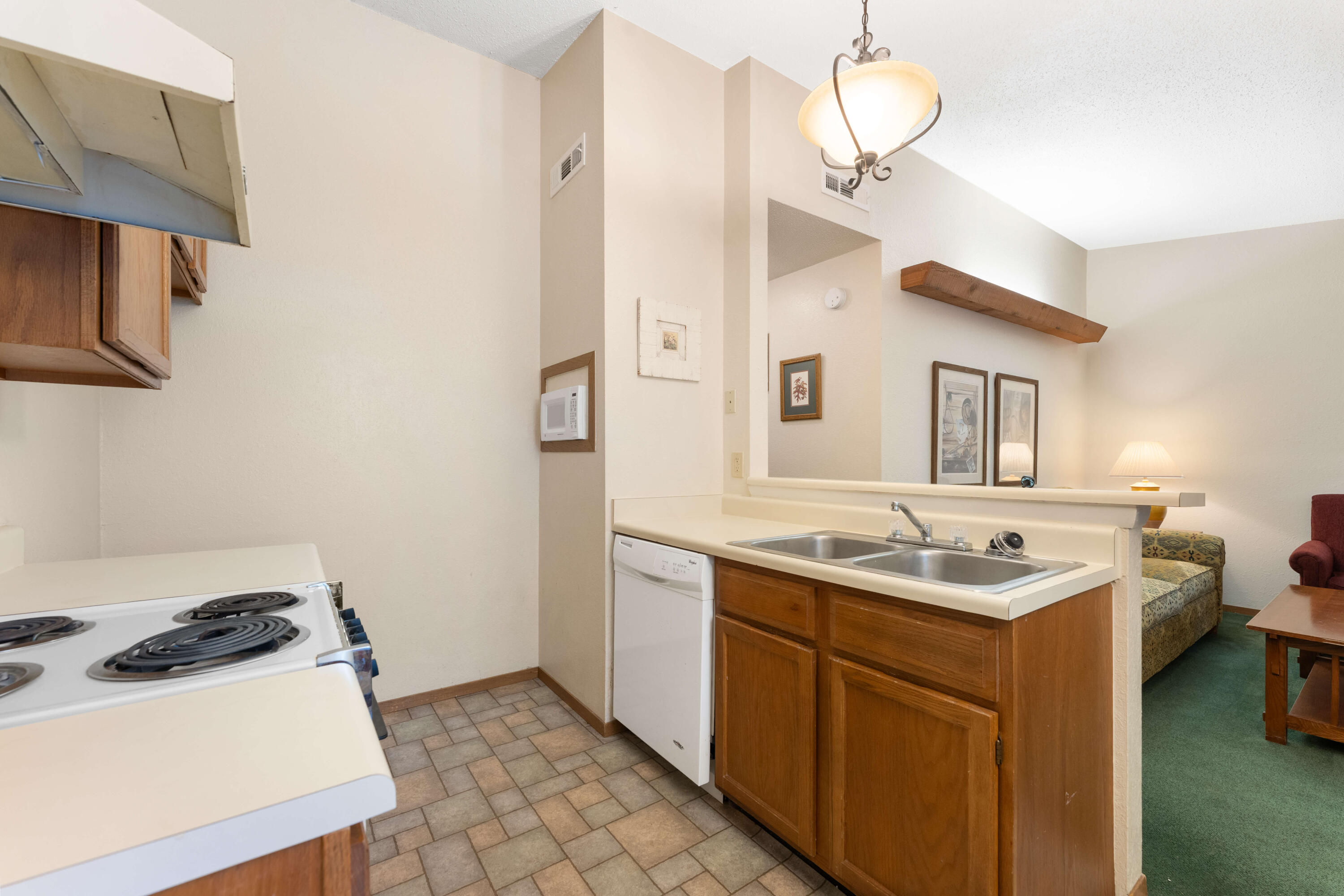 541 Ozark Mountain Resort Drive Property Photo 11