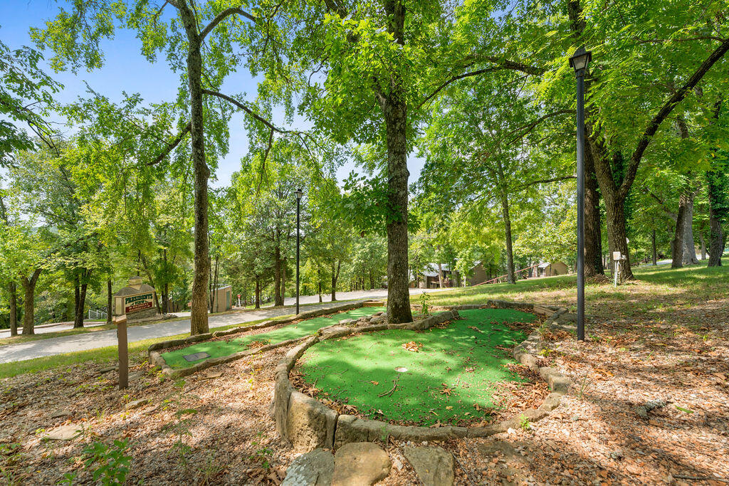 541 Ozark Mountain Resort Drive Property Photo 19