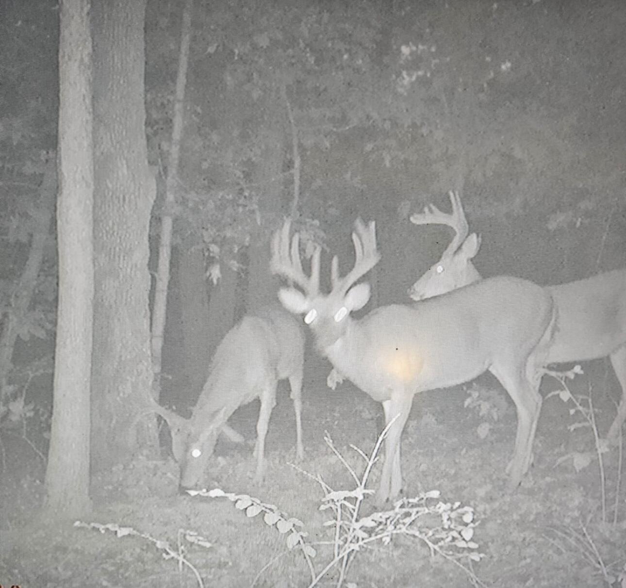 16033 Lawrence 2050 Property Photo 1