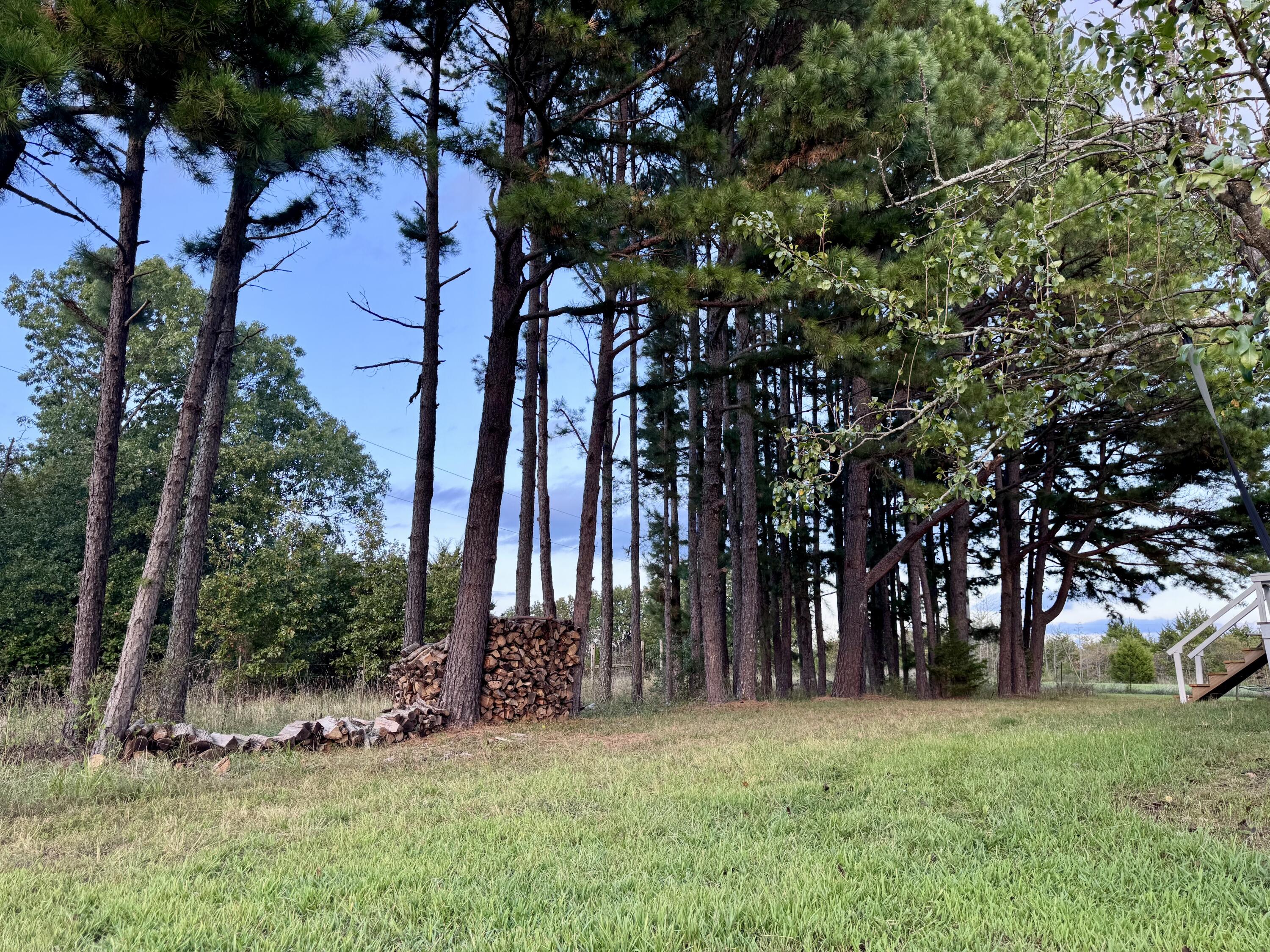 9111 Highway Tt Property Photo 71