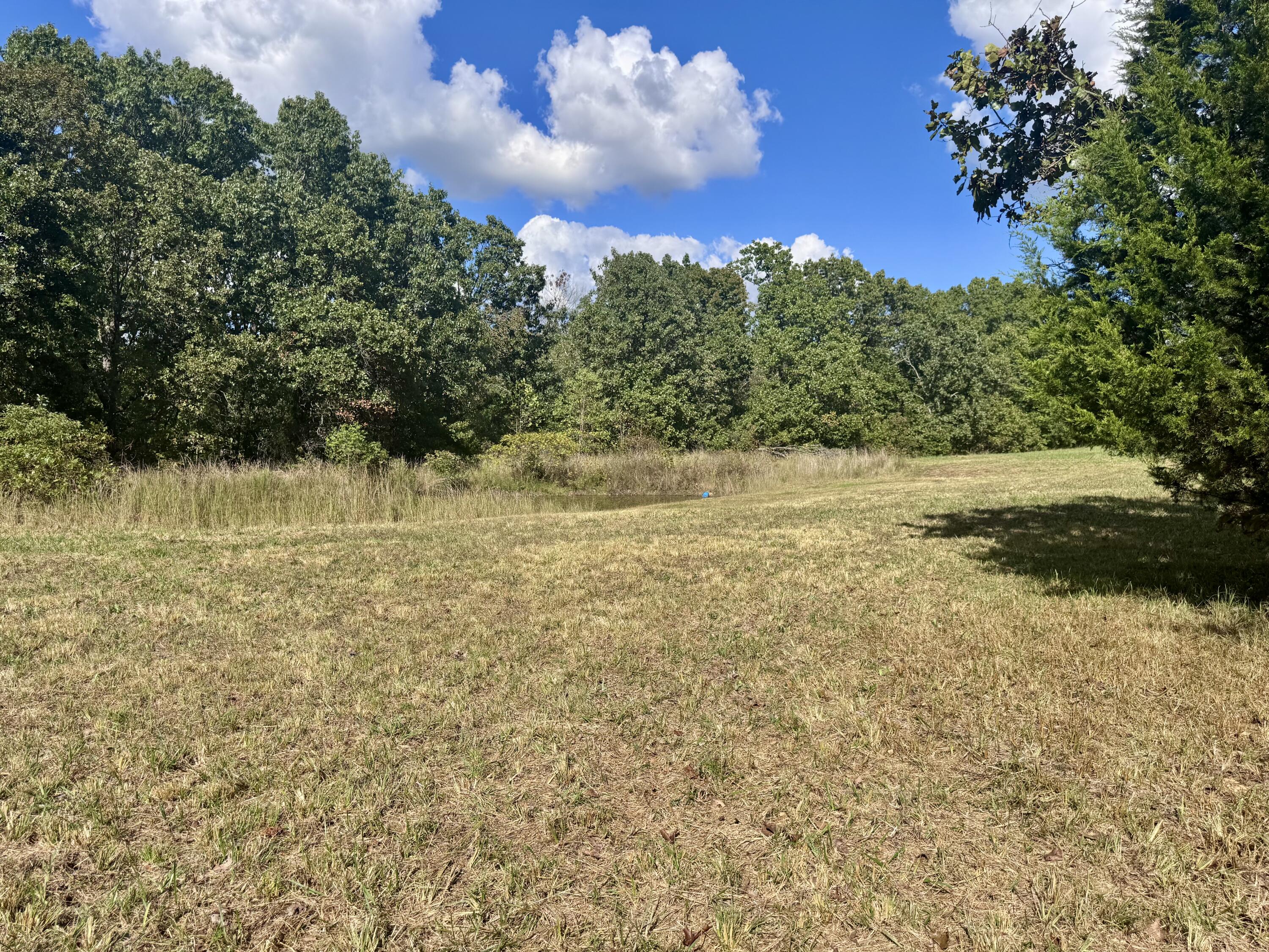 9111 Highway Tt Property Photo 81