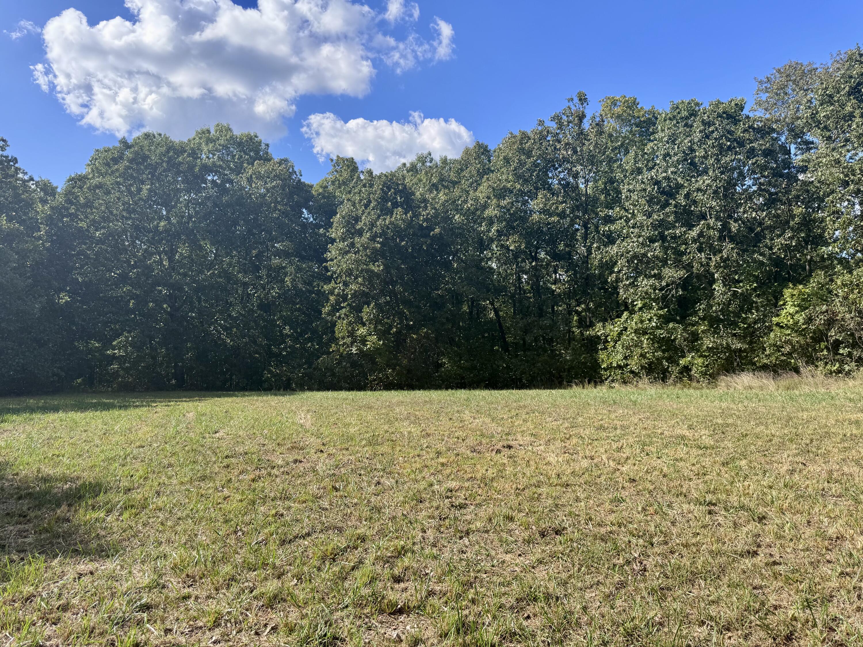 9111 Highway Tt Property Photo 83
