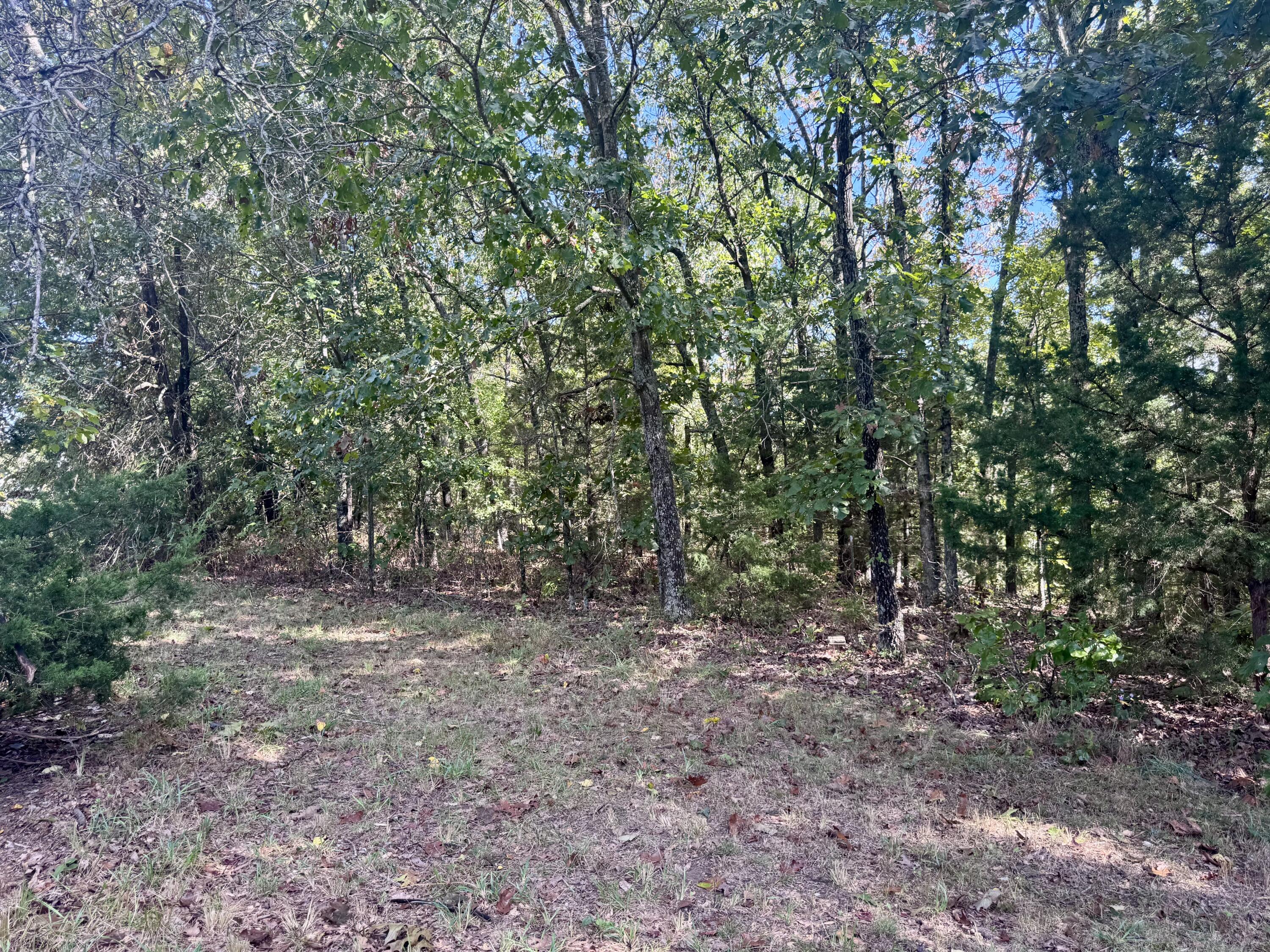 9111 Highway Tt Property Photo 84