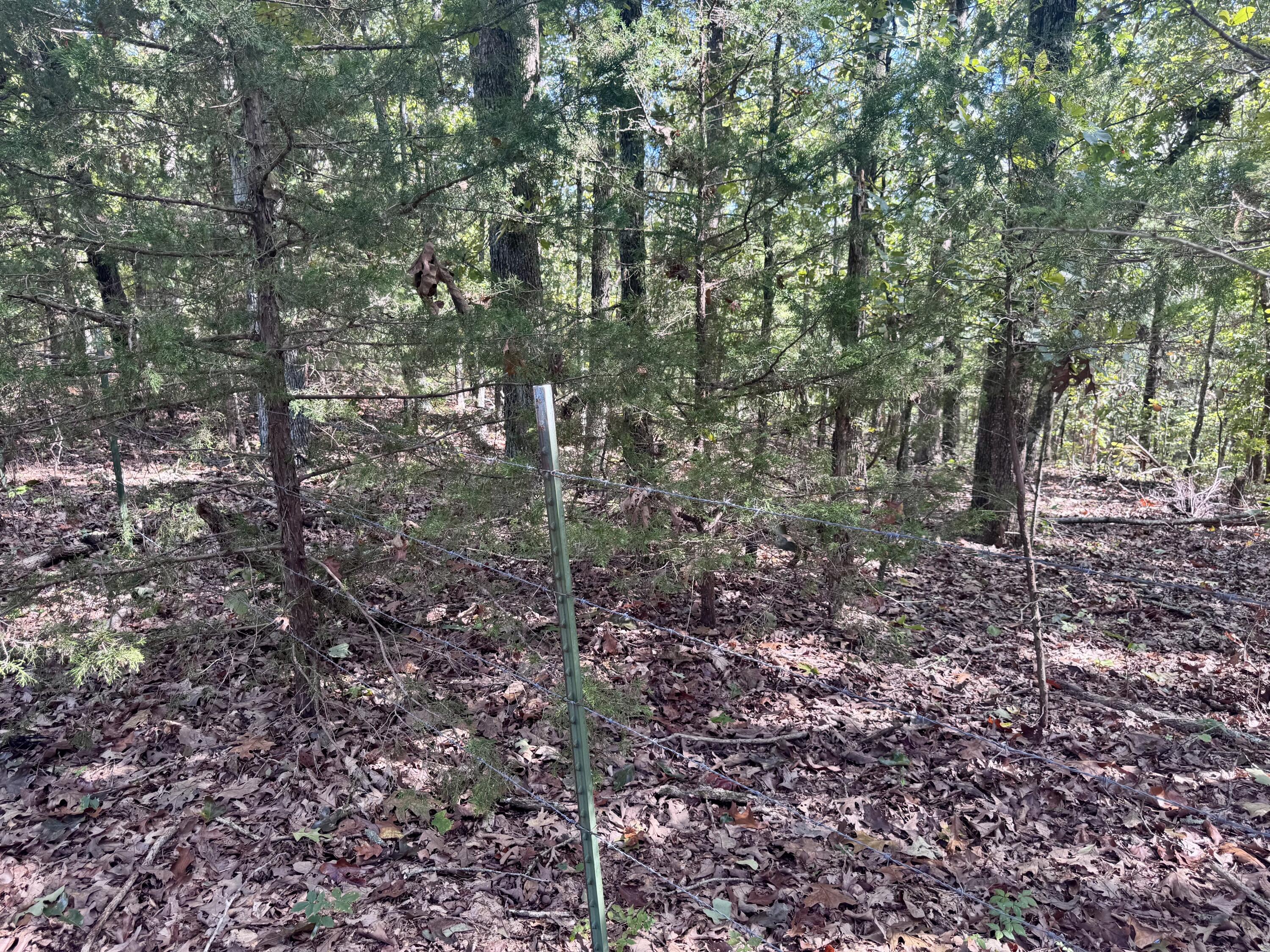 9111 Highway Tt Property Photo 87