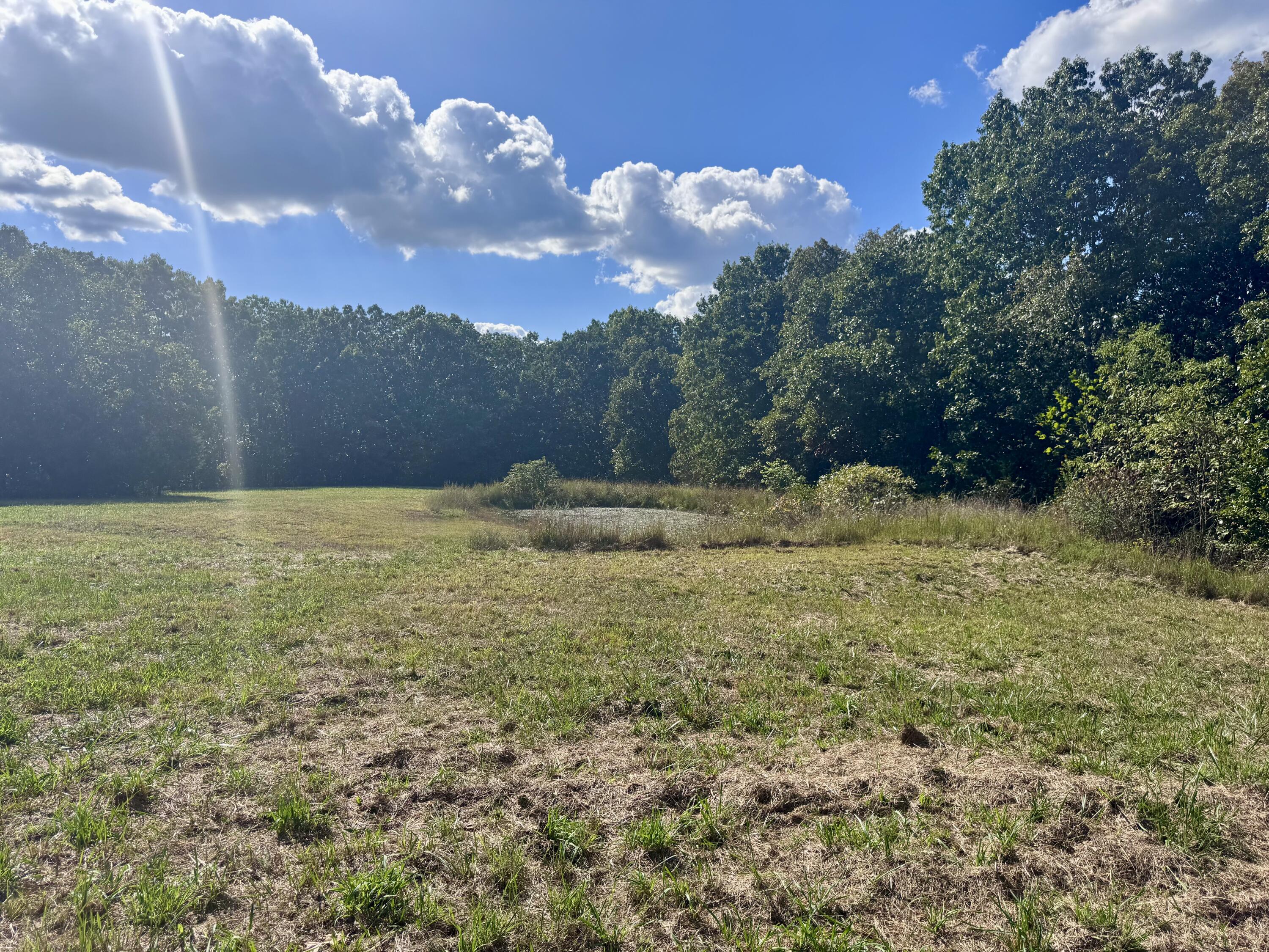 9111 Highway Tt Property Photo 90