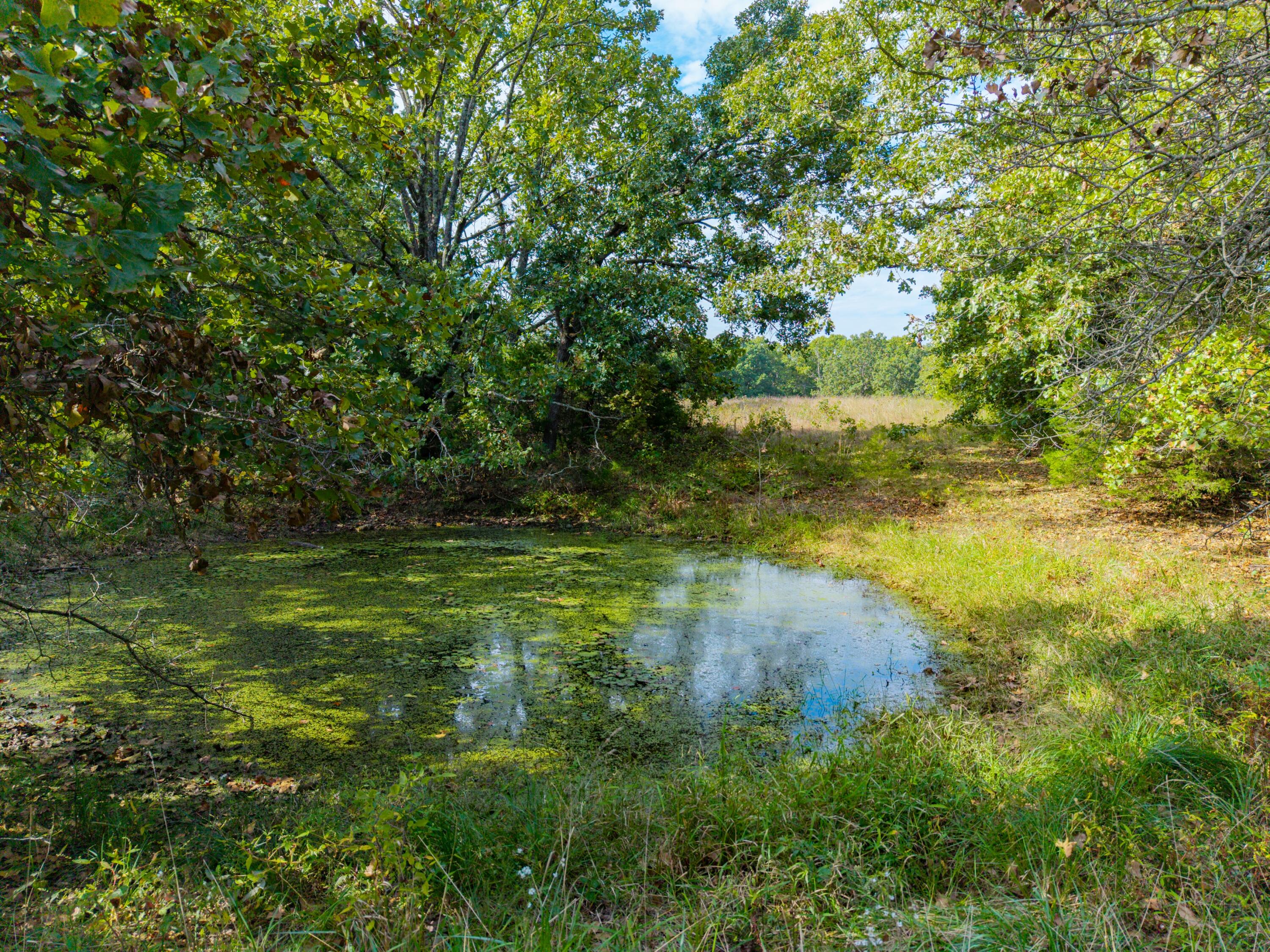 9111 Highway Tt Property Photo 100