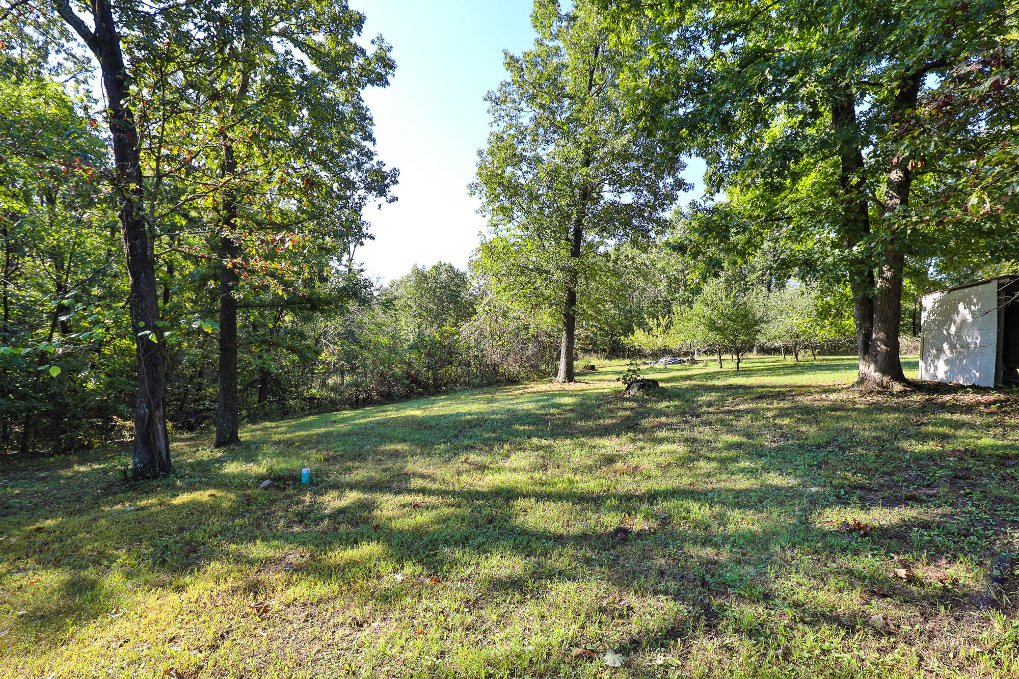 8 Dallion Ford Lane Property Photo 5