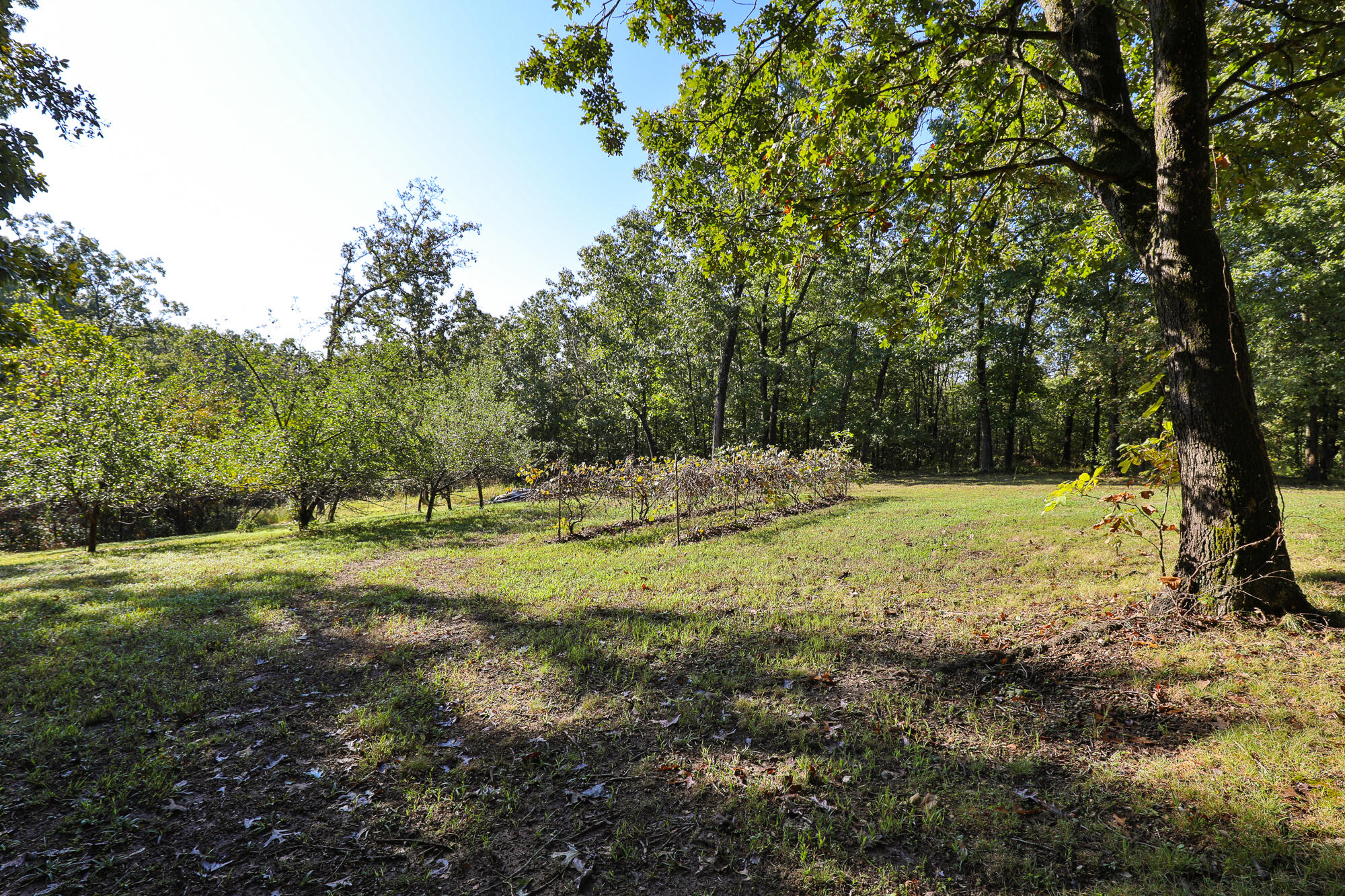 8 Dallion Ford Lane Property Photo 8