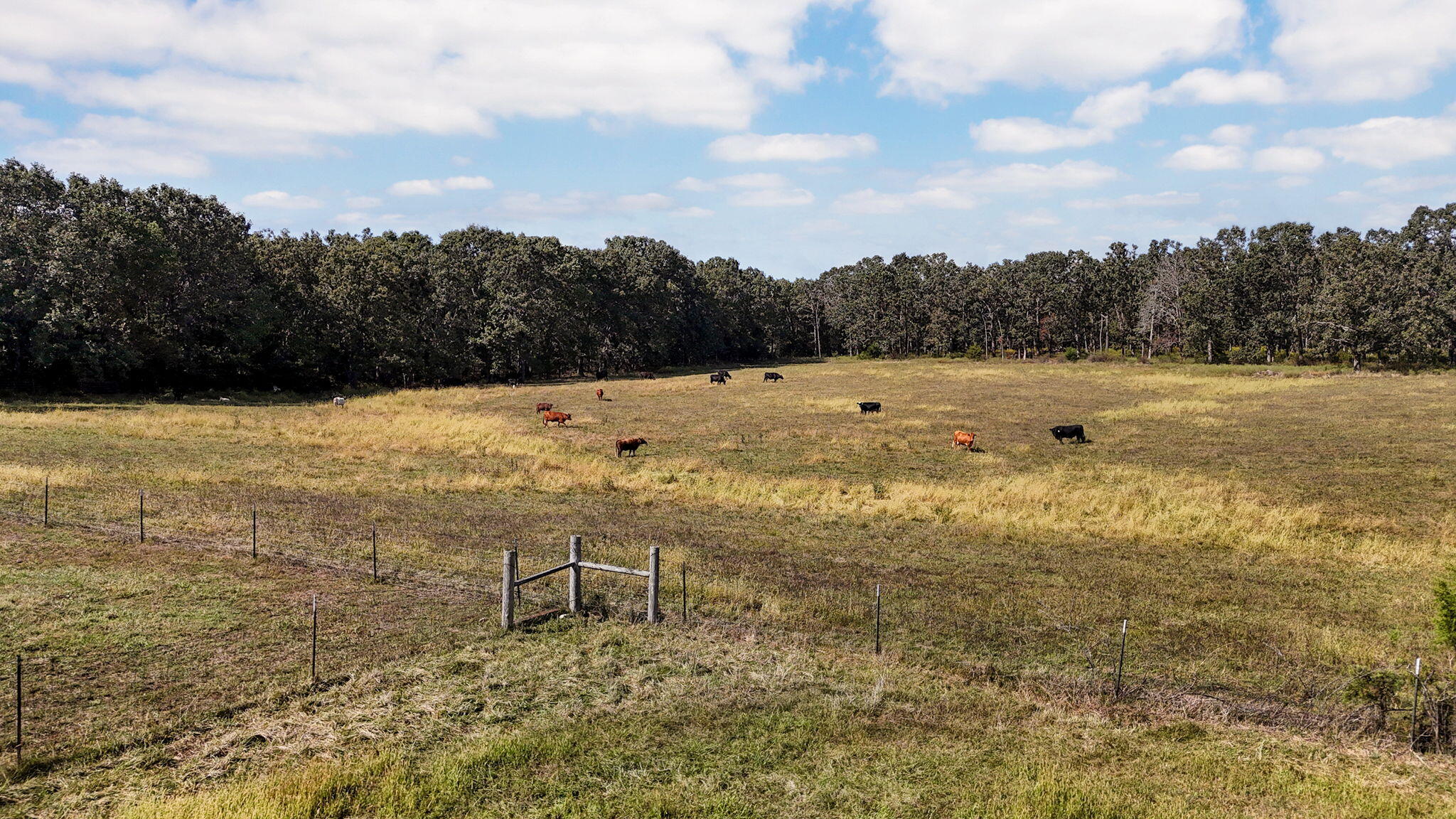 703 Mockingbird Road Property Photo 18