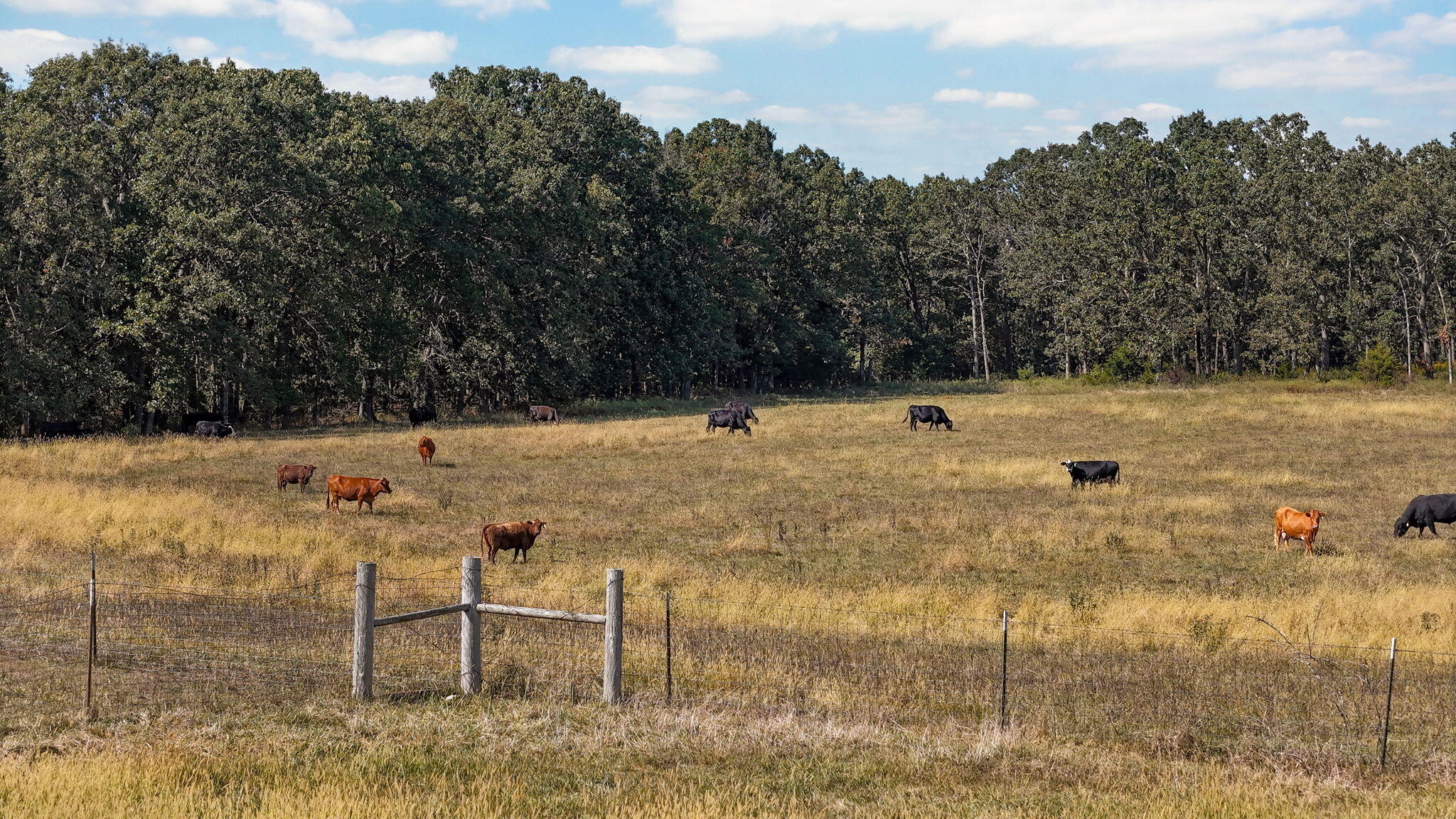 703 Mockingbird Road Property Photo 19