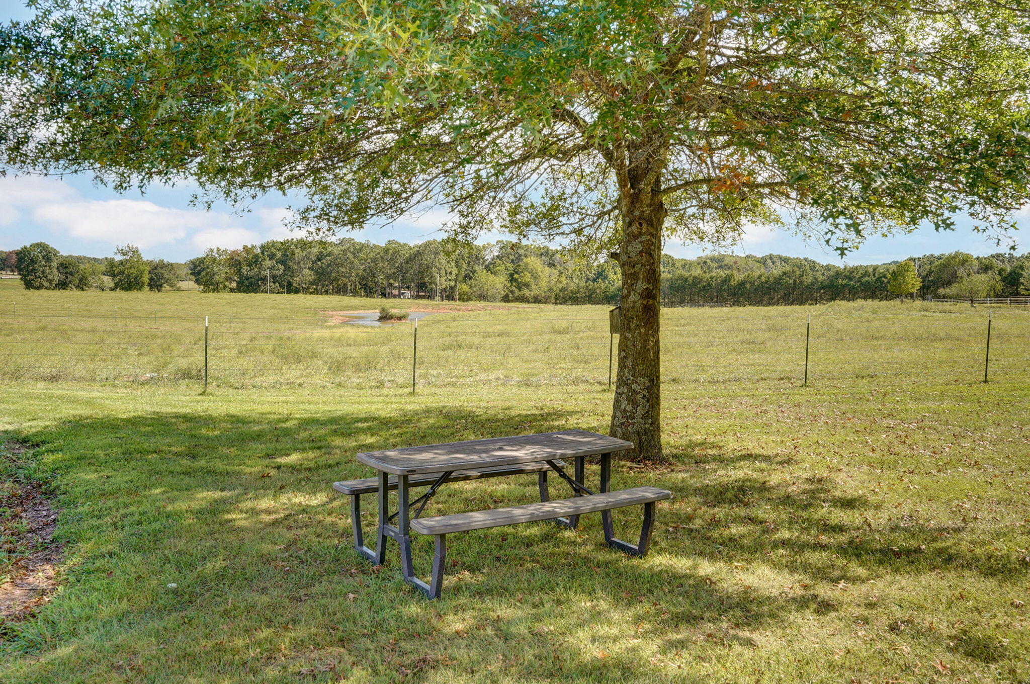 703 Mockingbird Road Property Photo 93