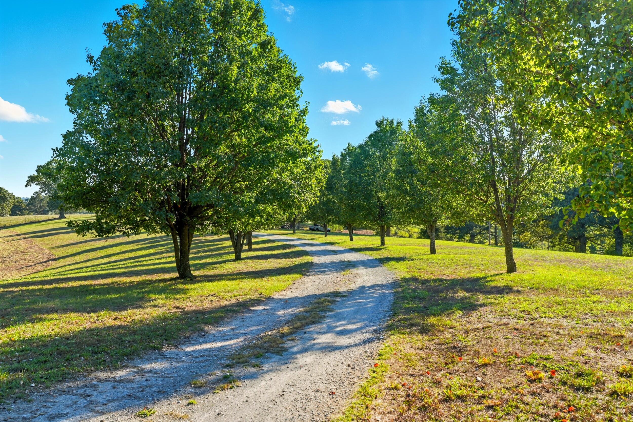 2024 Dogwood Tree Road Property Photo 82