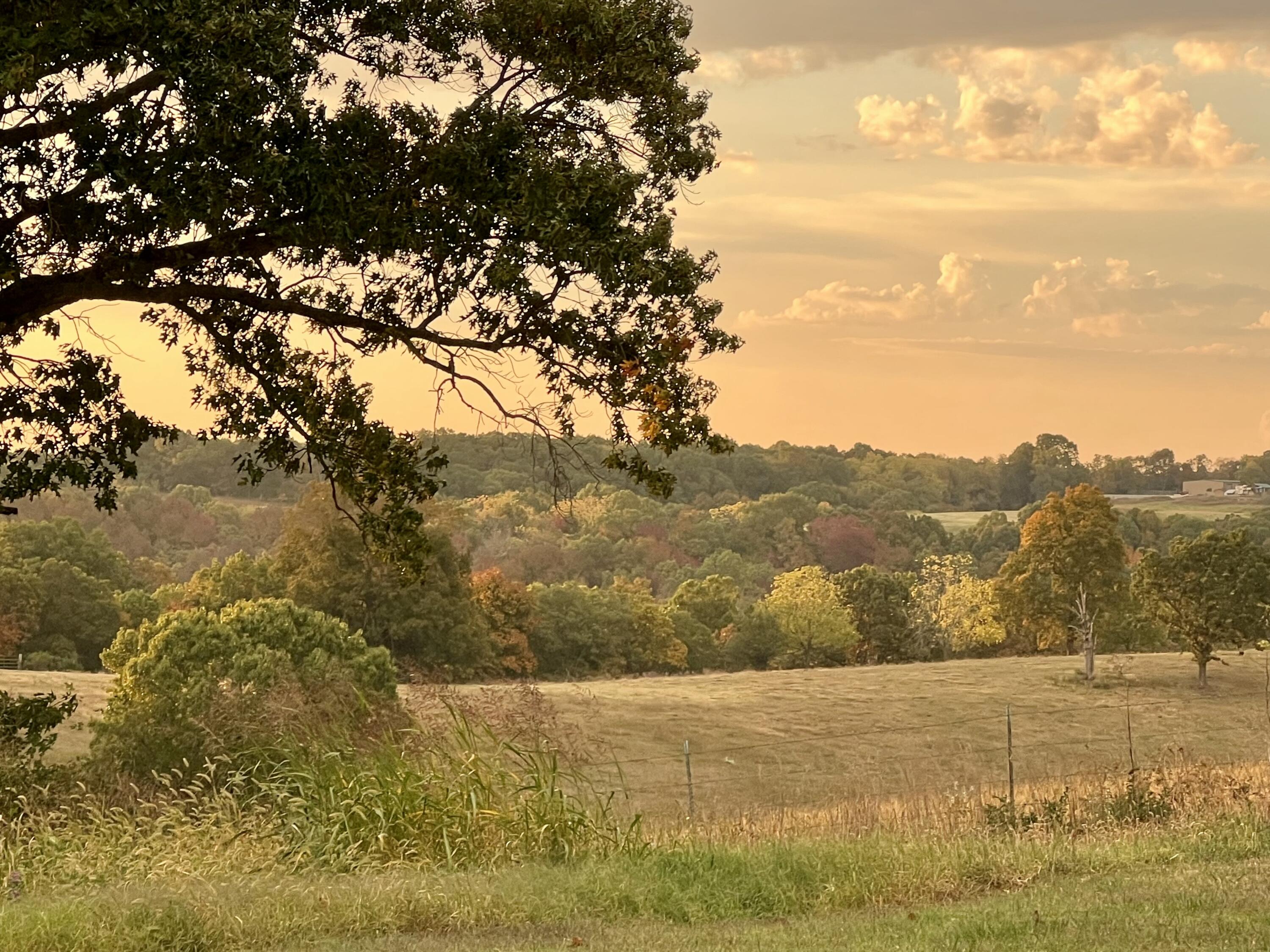 2024 Dogwood Tree Road Property Photo 88