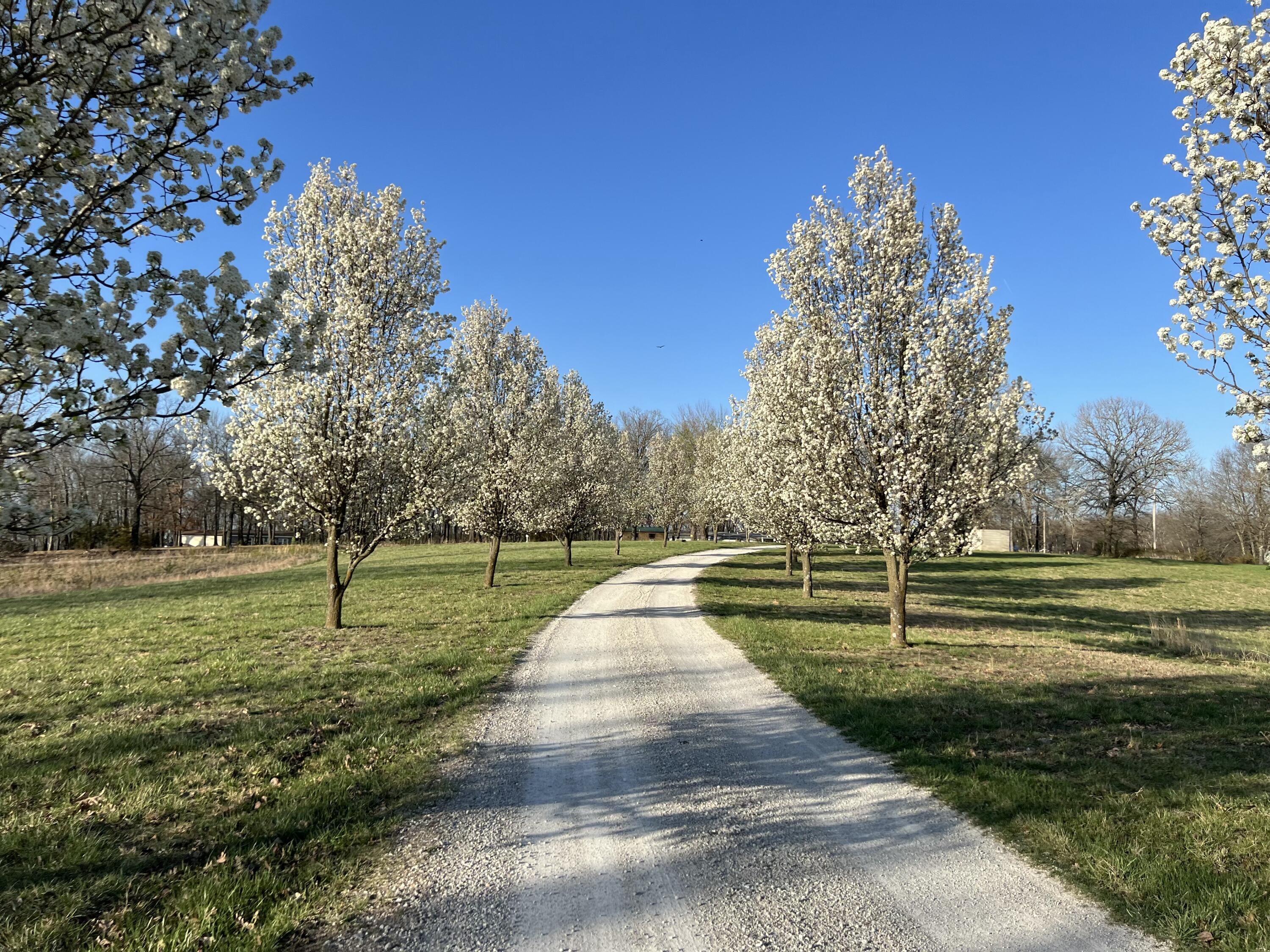 2024 Dogwood Tree Road Property Photo 93