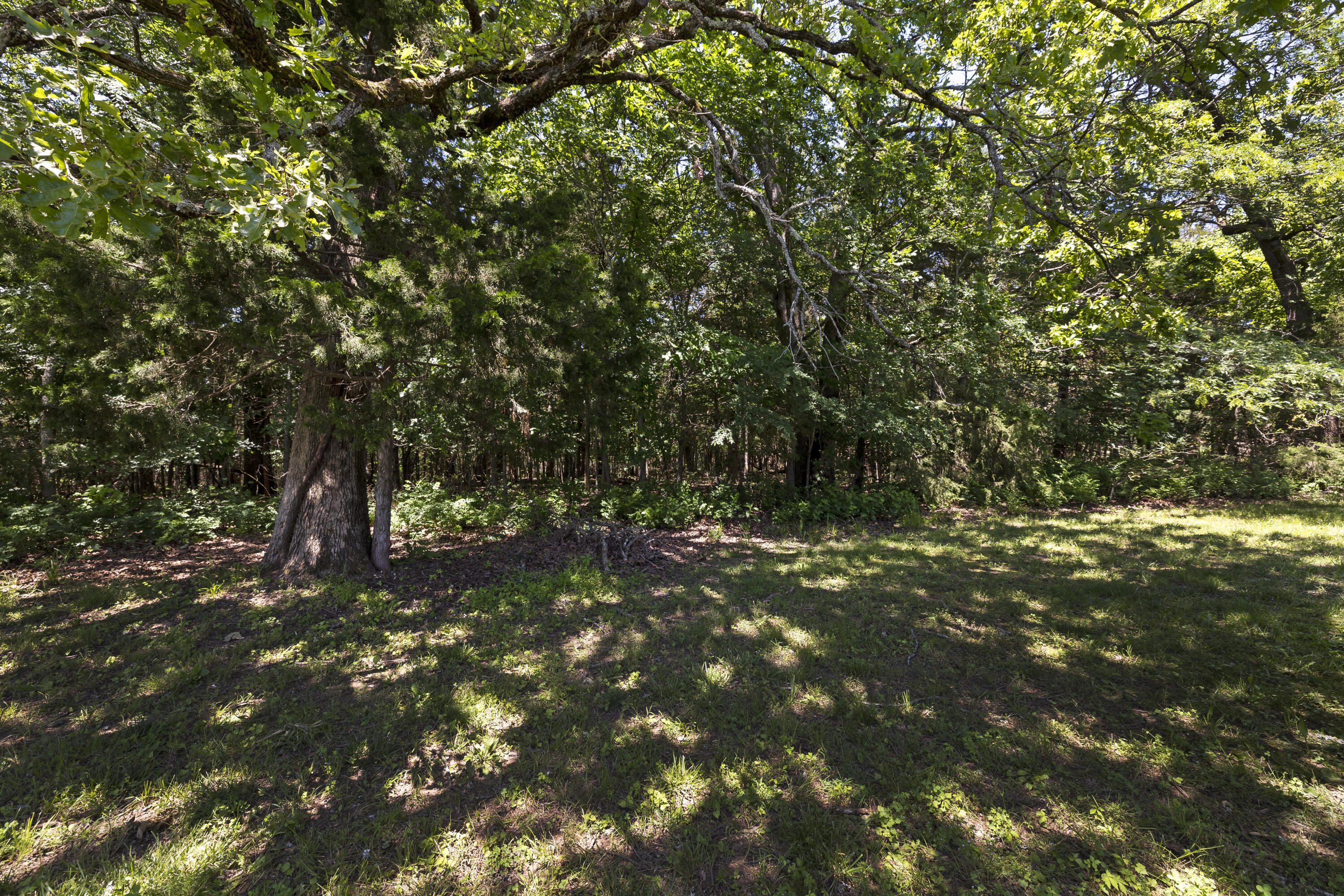 192 Forest Lane Property Photo 34