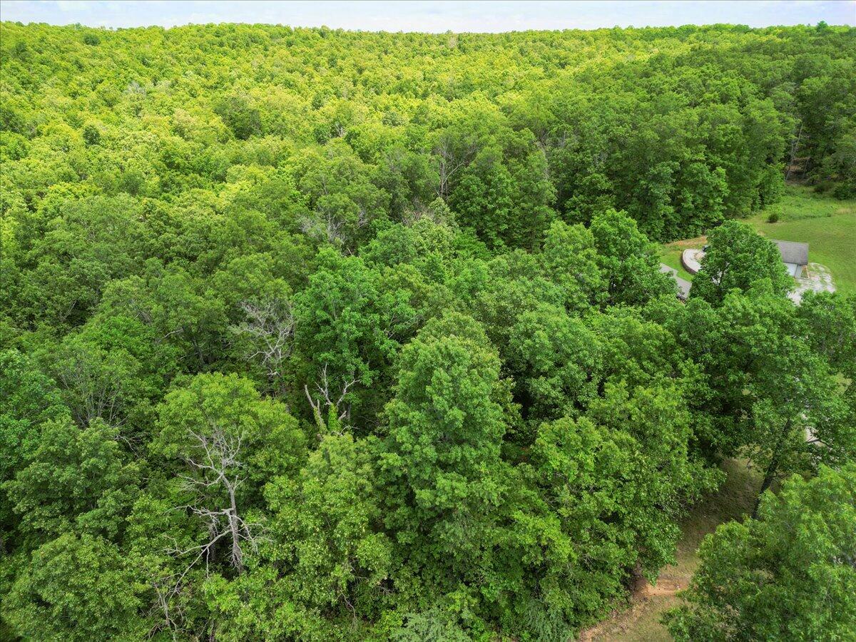 12794 County Road 8790 Property Photo 31