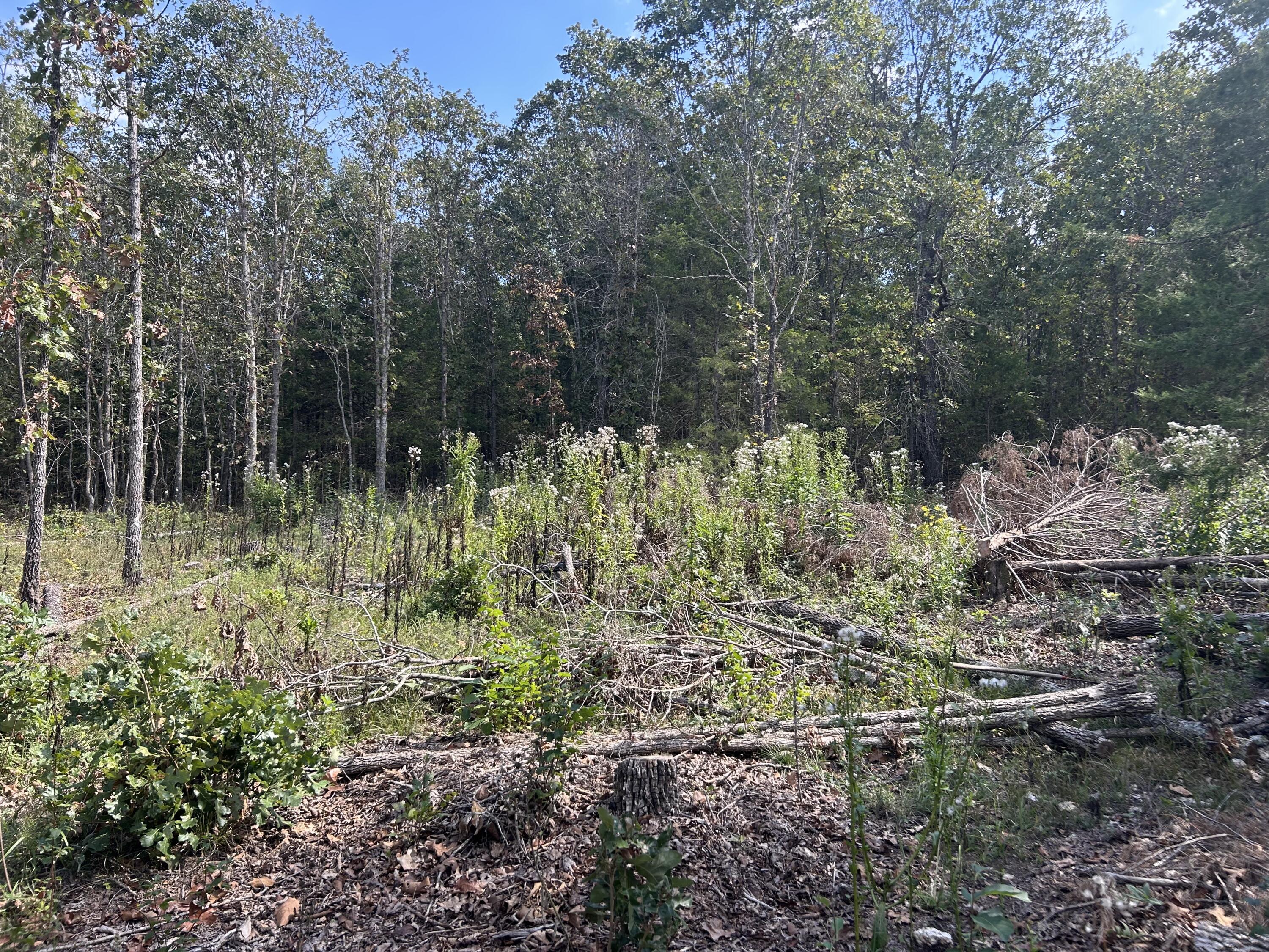 0 Enchanted Meadows Private Drive Property Photo 1