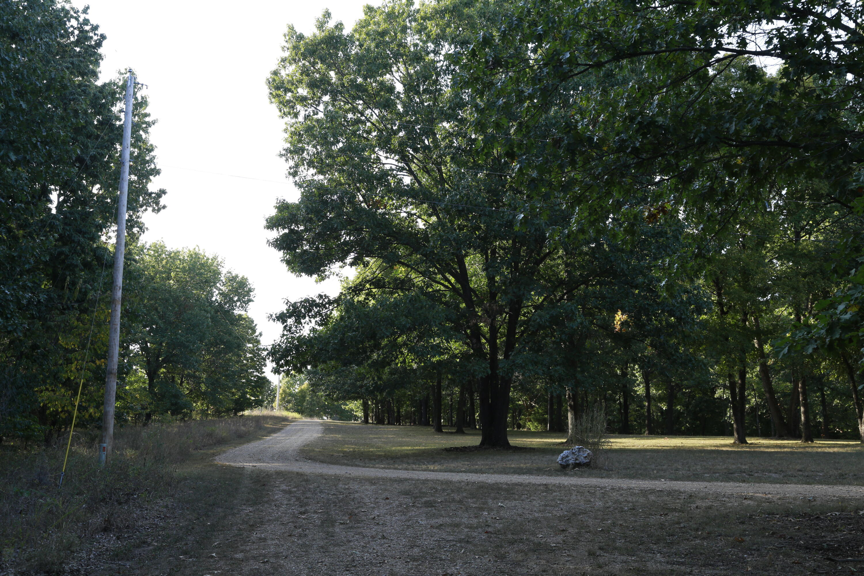 000 Brown Bend Road Property Photo 8