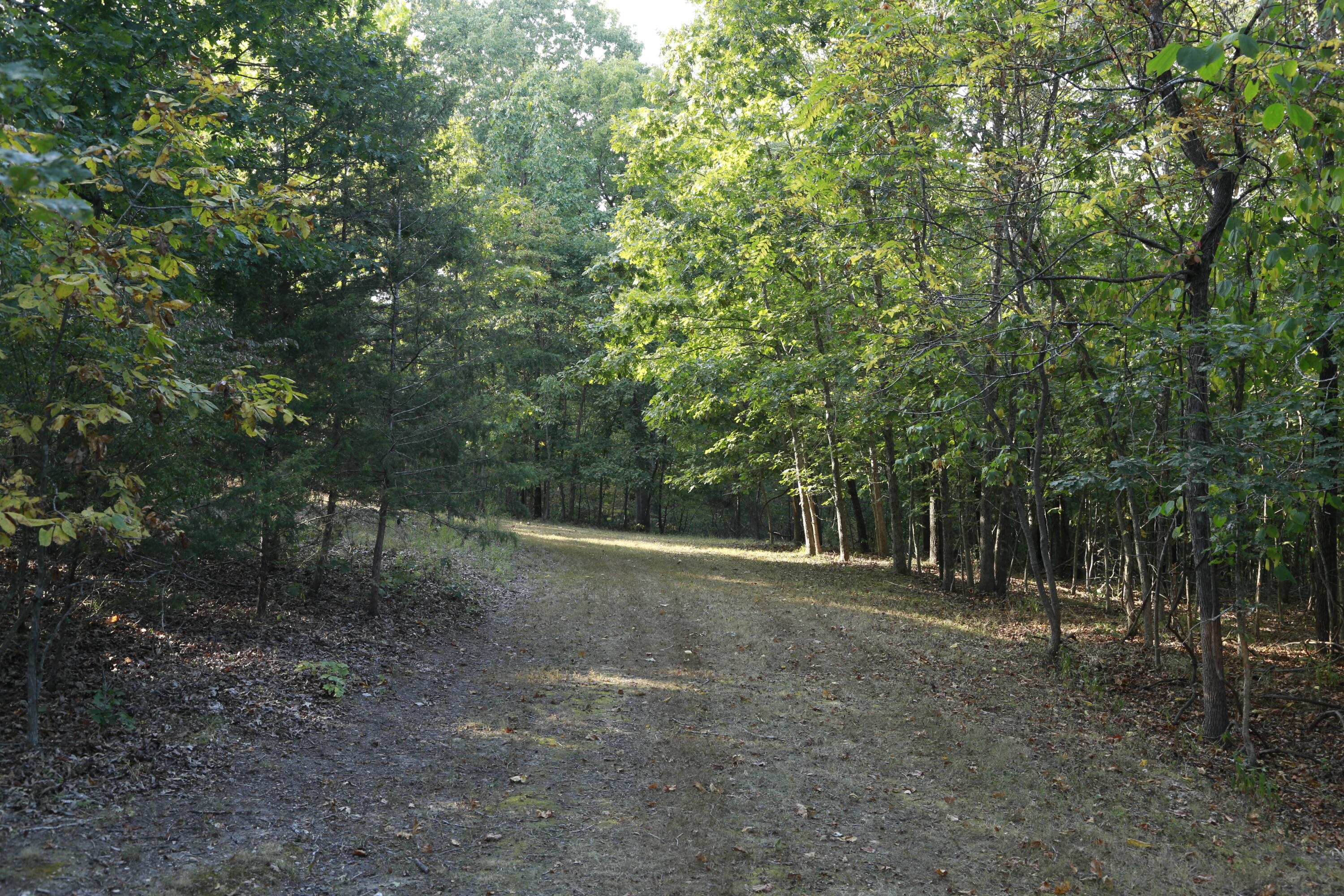 000 Brown Bend Road Property Photo 9