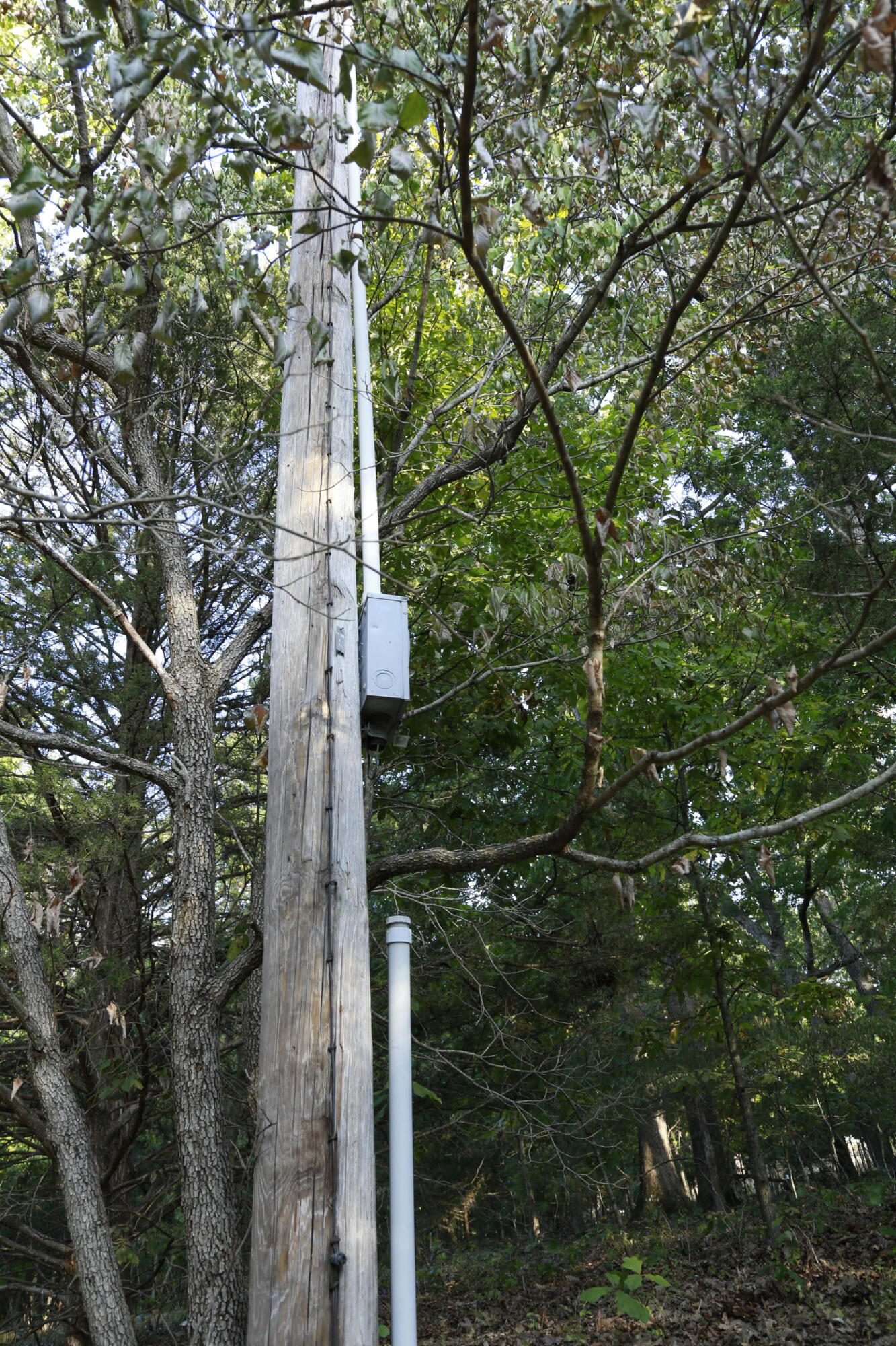 000 Brown Bend Road Property Photo 10