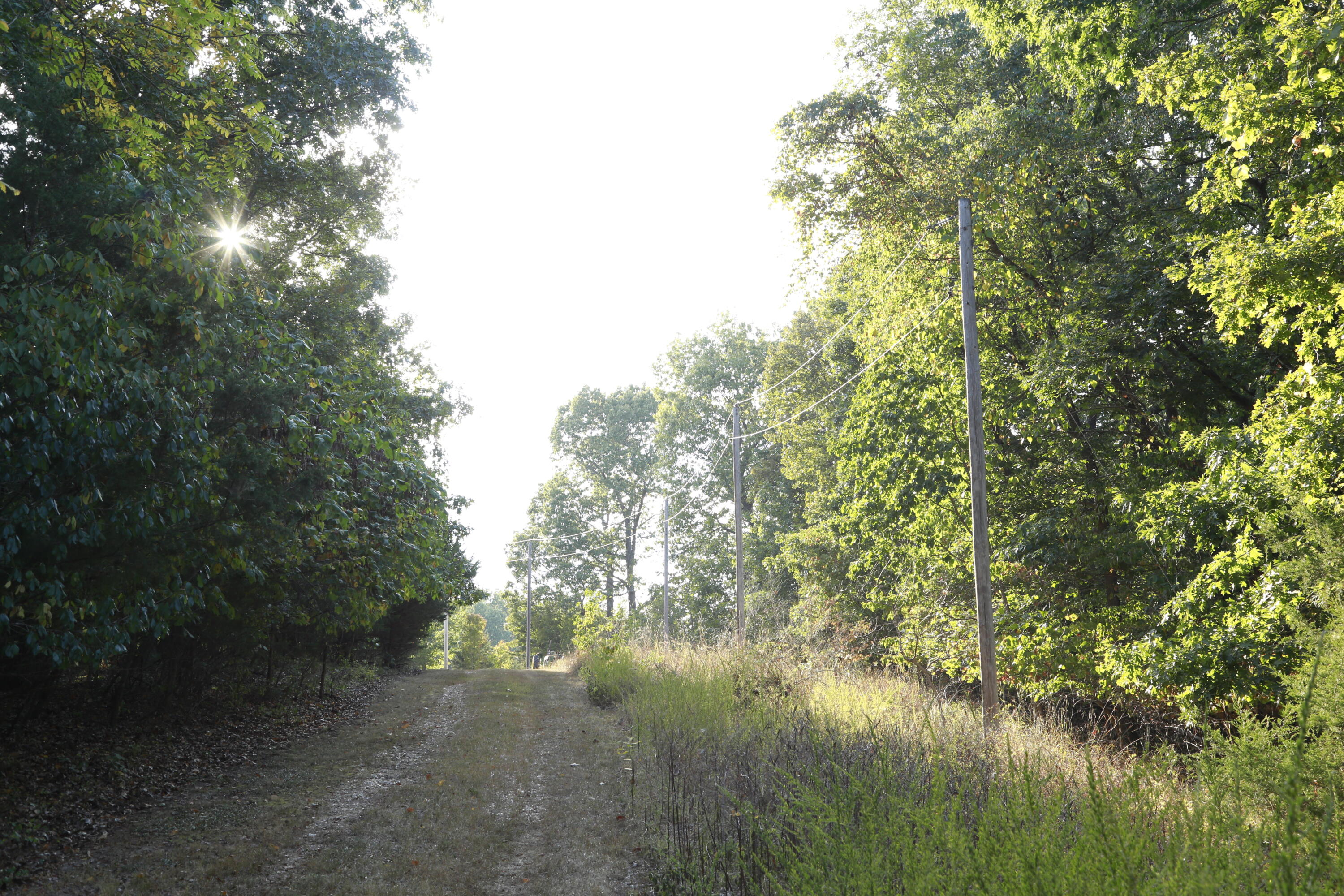 000 Brown Bend Road Property Photo 12