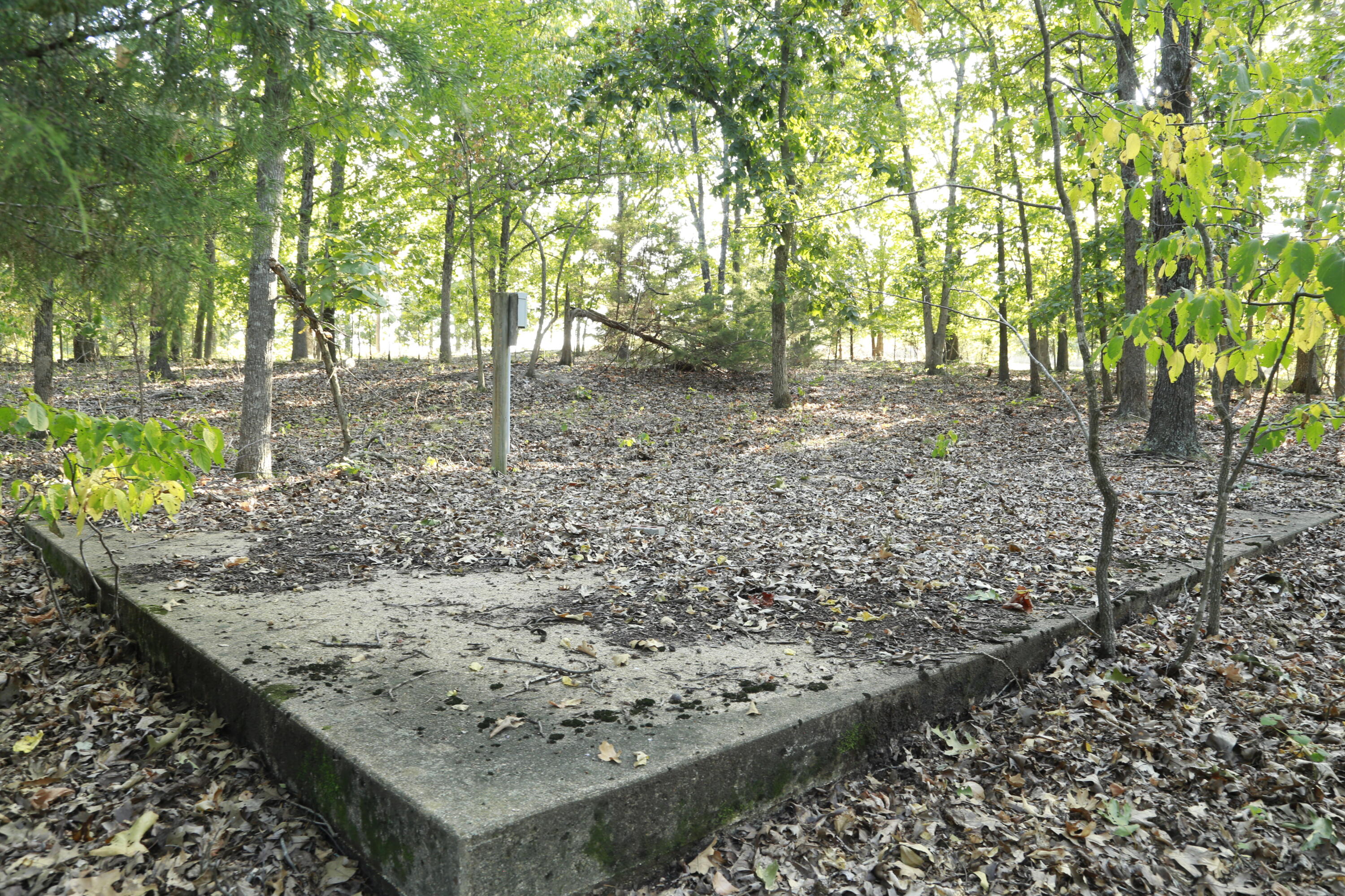 000 Brown Bend Road Property Photo 13