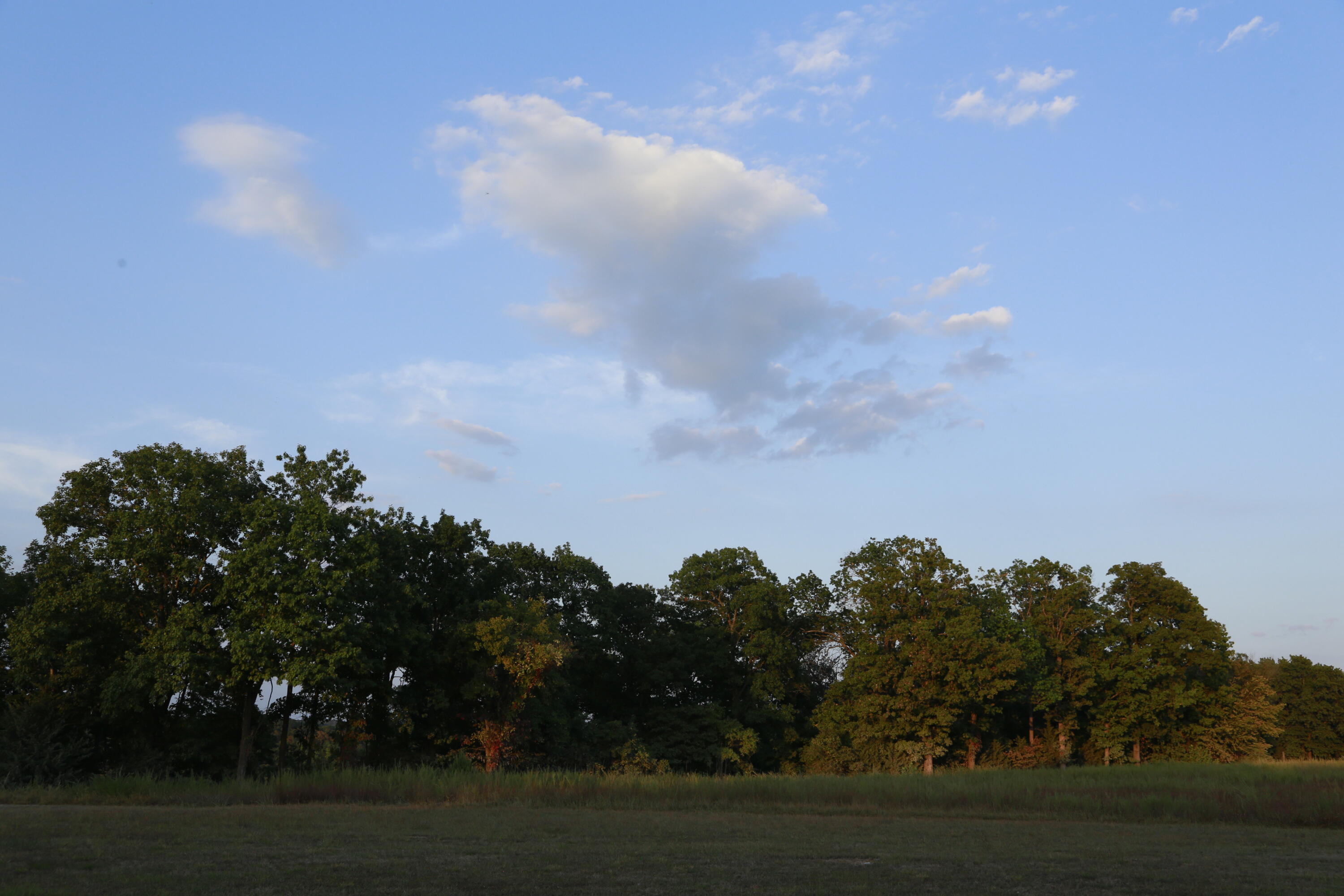 000 Brown Bend Road Property Photo 17