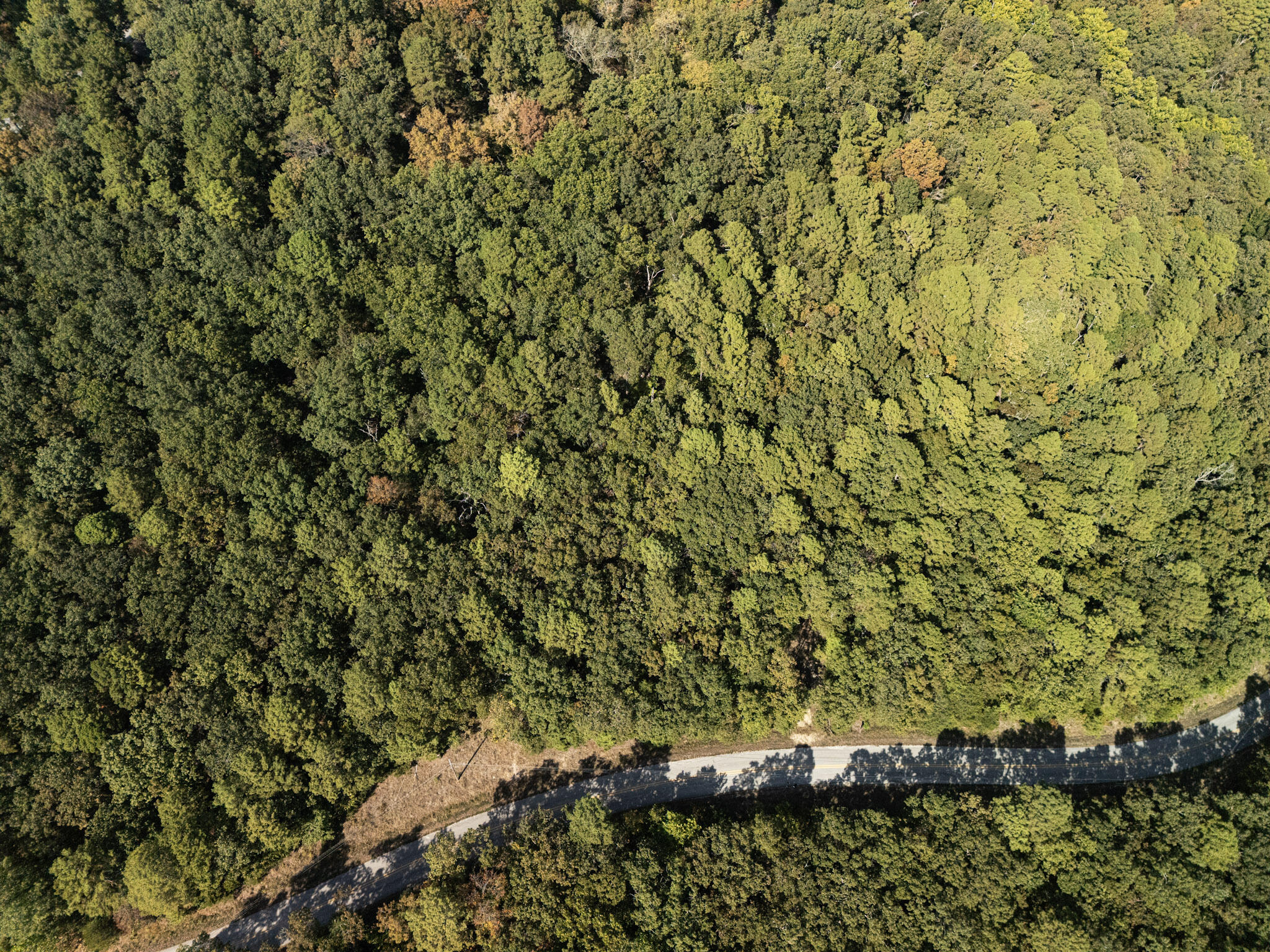 000 Dwelle Road Road Property Photo 2