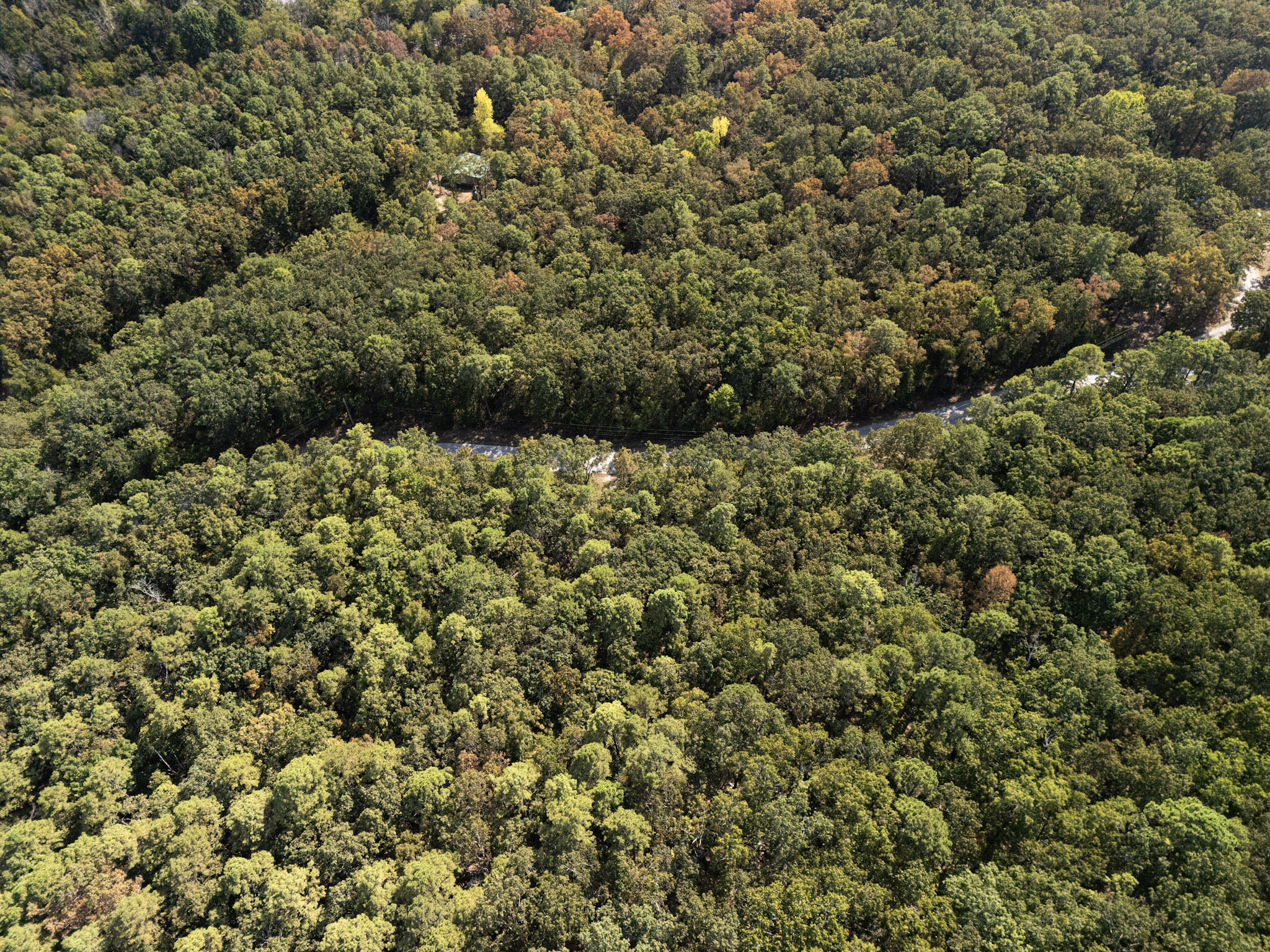 000 Dwelle Road Road Property Photo 3