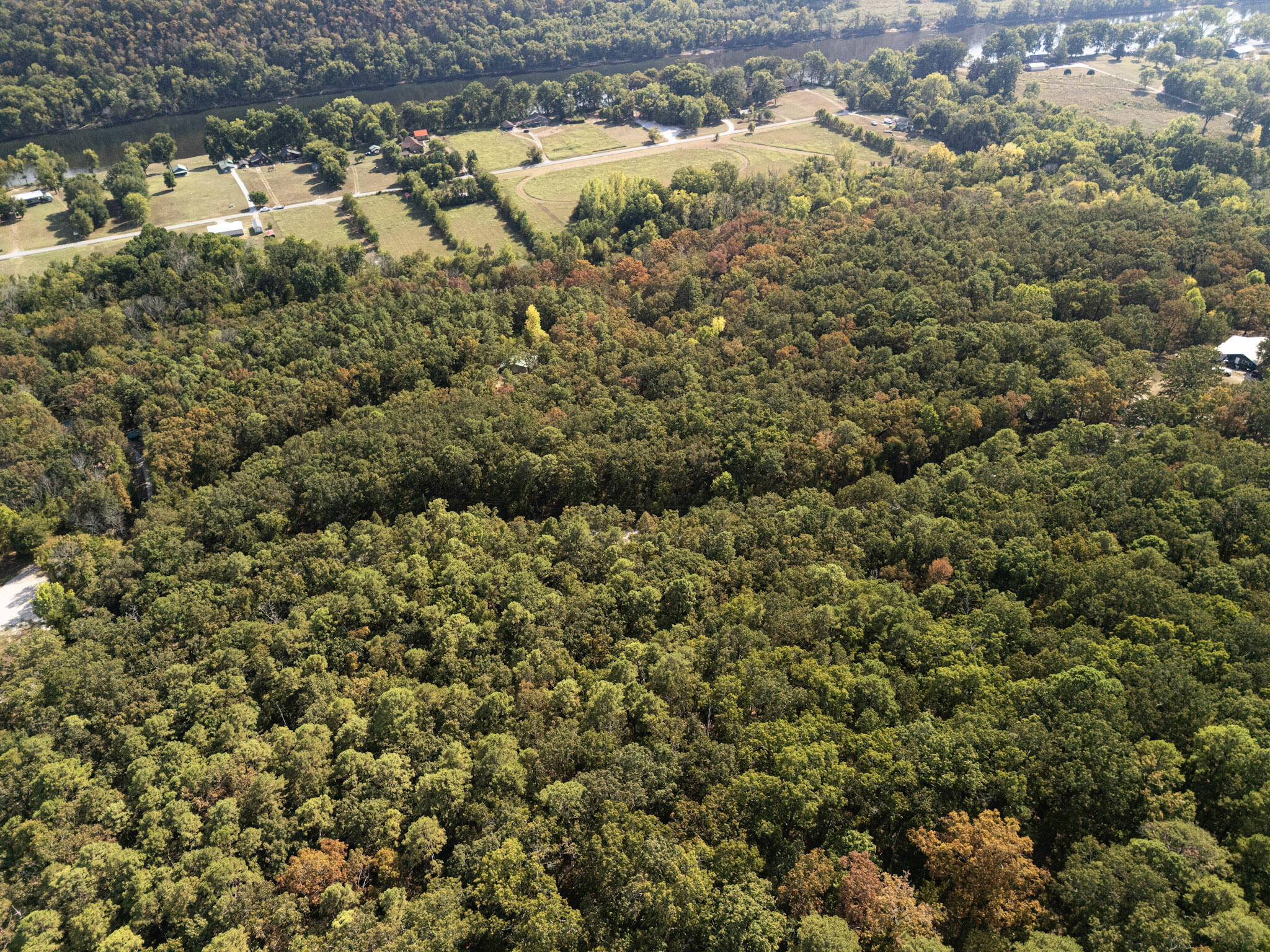 000 Dwelle Road Road Property Photo 4