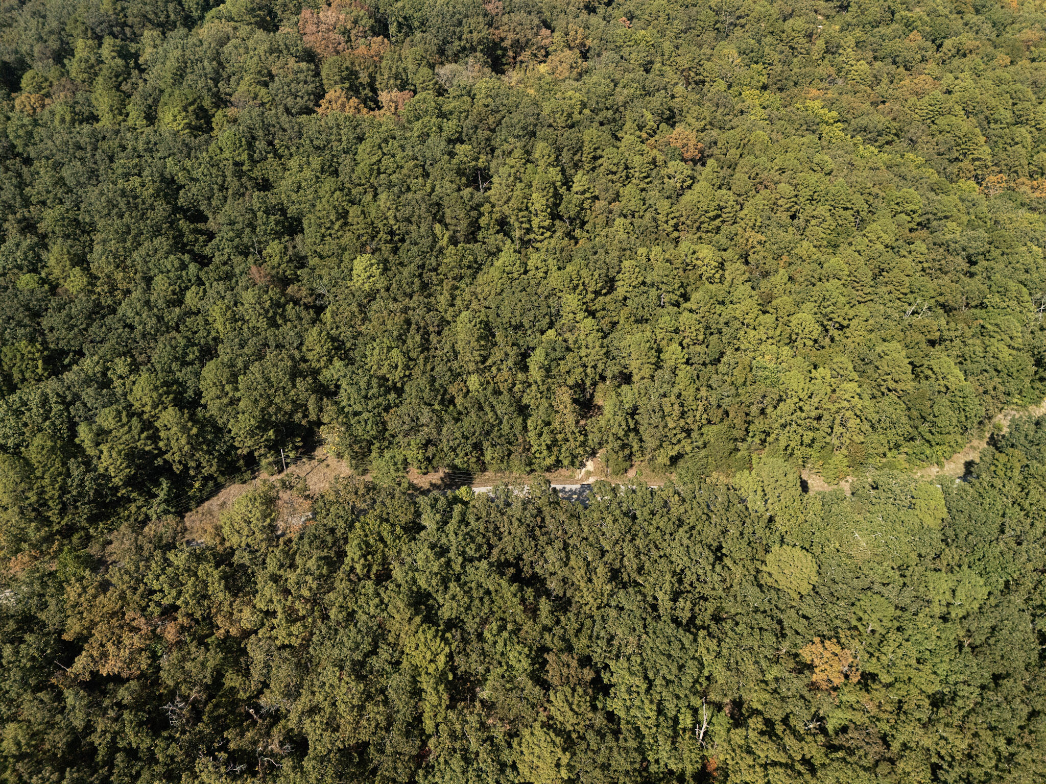 000 Dwelle Road Road Property Photo 5