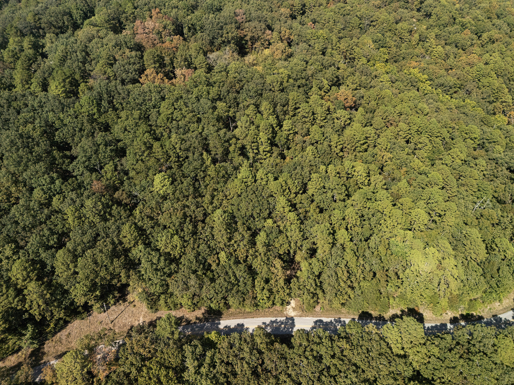 000 Dwelle Road Road Property Photo 7