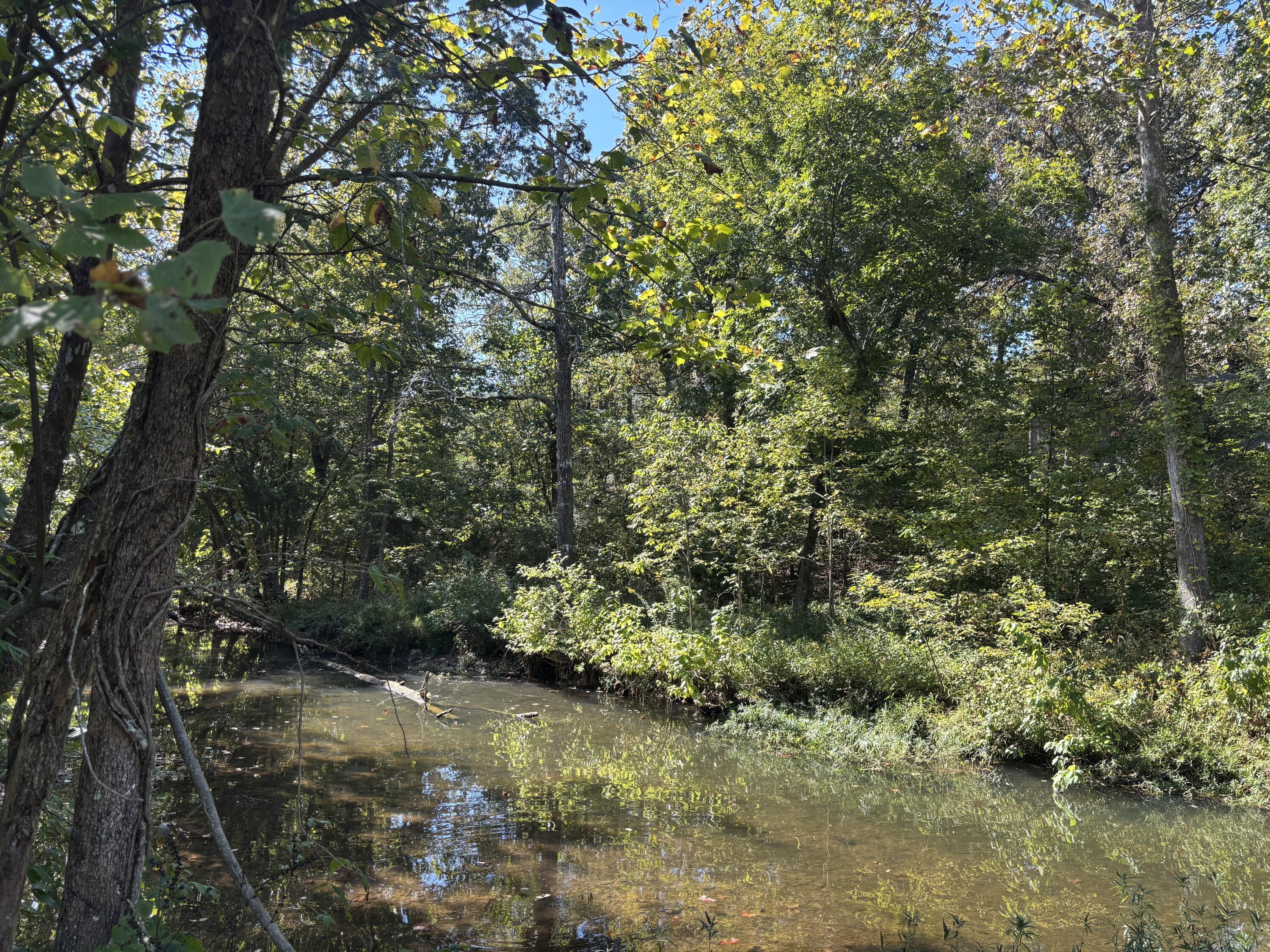 Tbd West Lakeshore Drive Property Photo 3