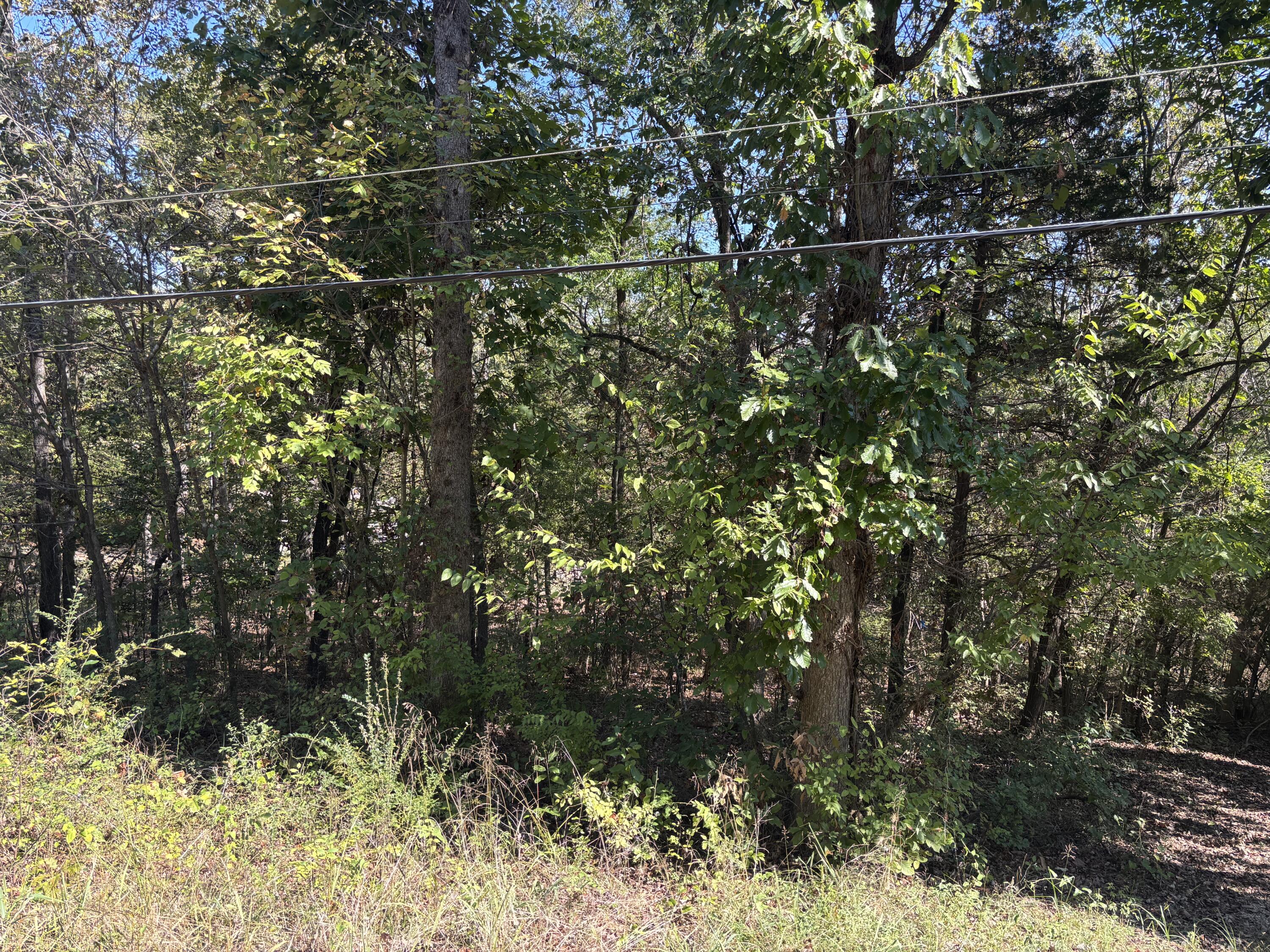 Tbd West Lakeshore Drive Property Photo 4