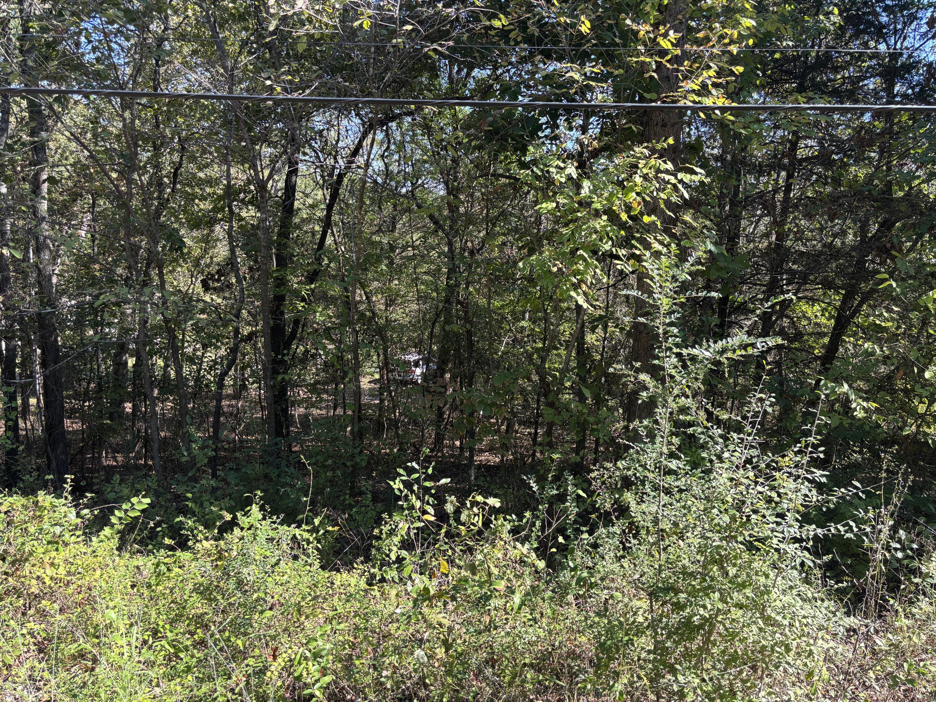 Tbd West Lakeshore Drive Property Photo 5