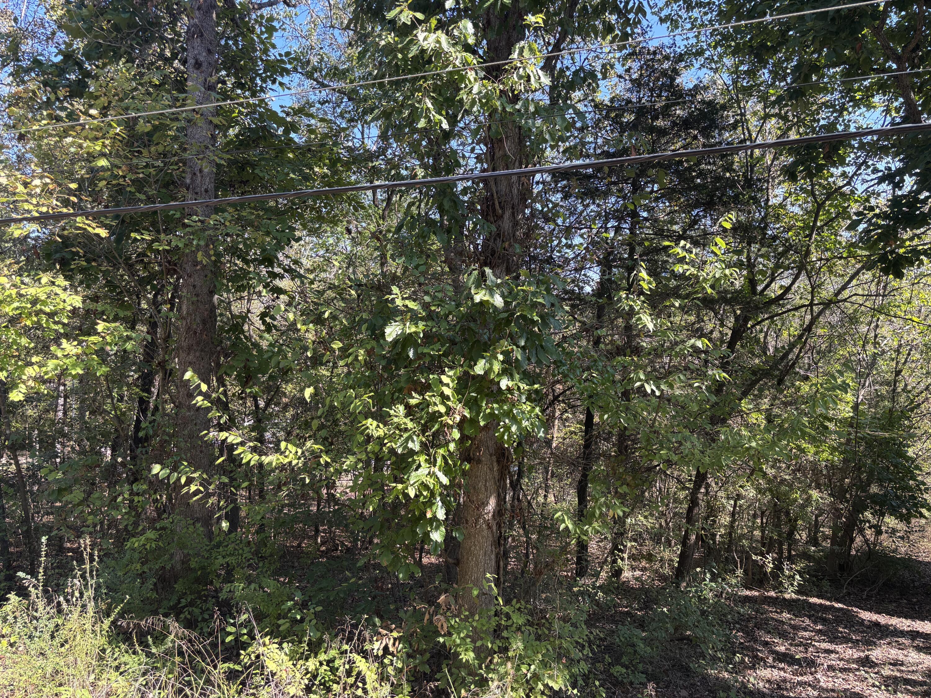 Tbd West Lakeshore Drive Property Photo 6
