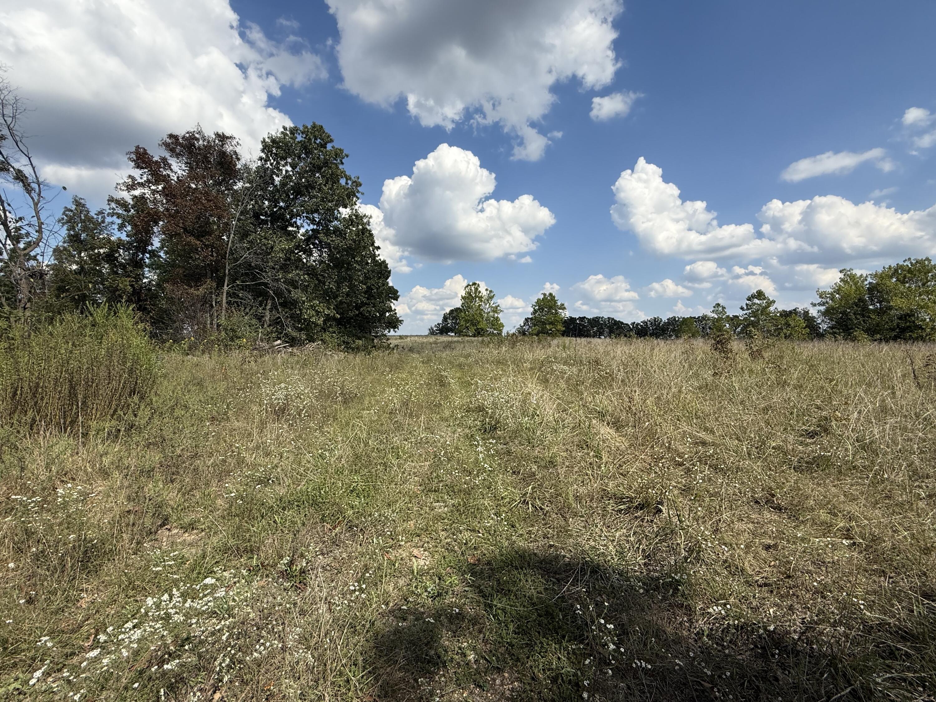 000 County Rd 6160 And 6210 Property Photo 3