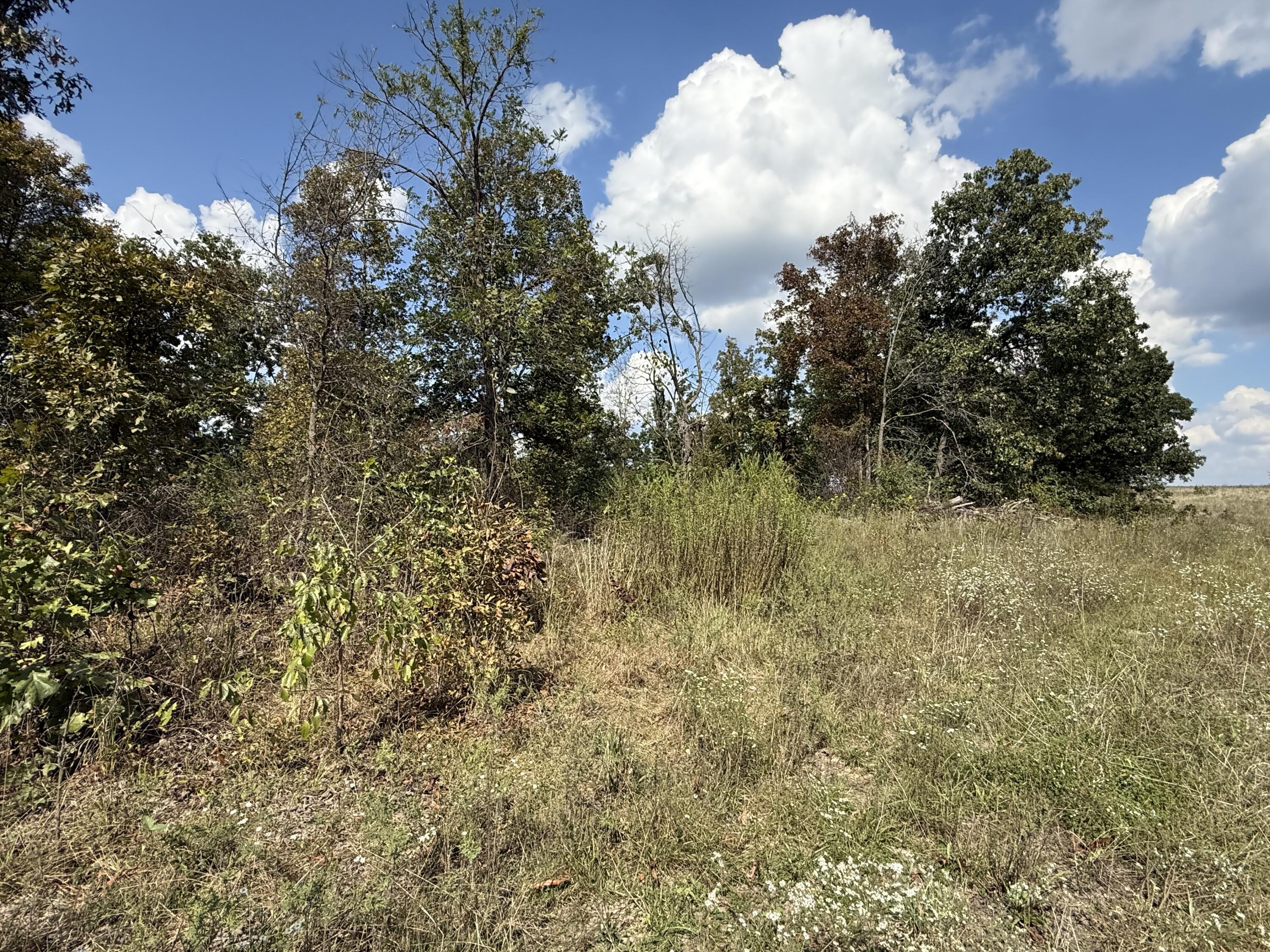 000 County Rd 6160 And 6210 Property Photo 5