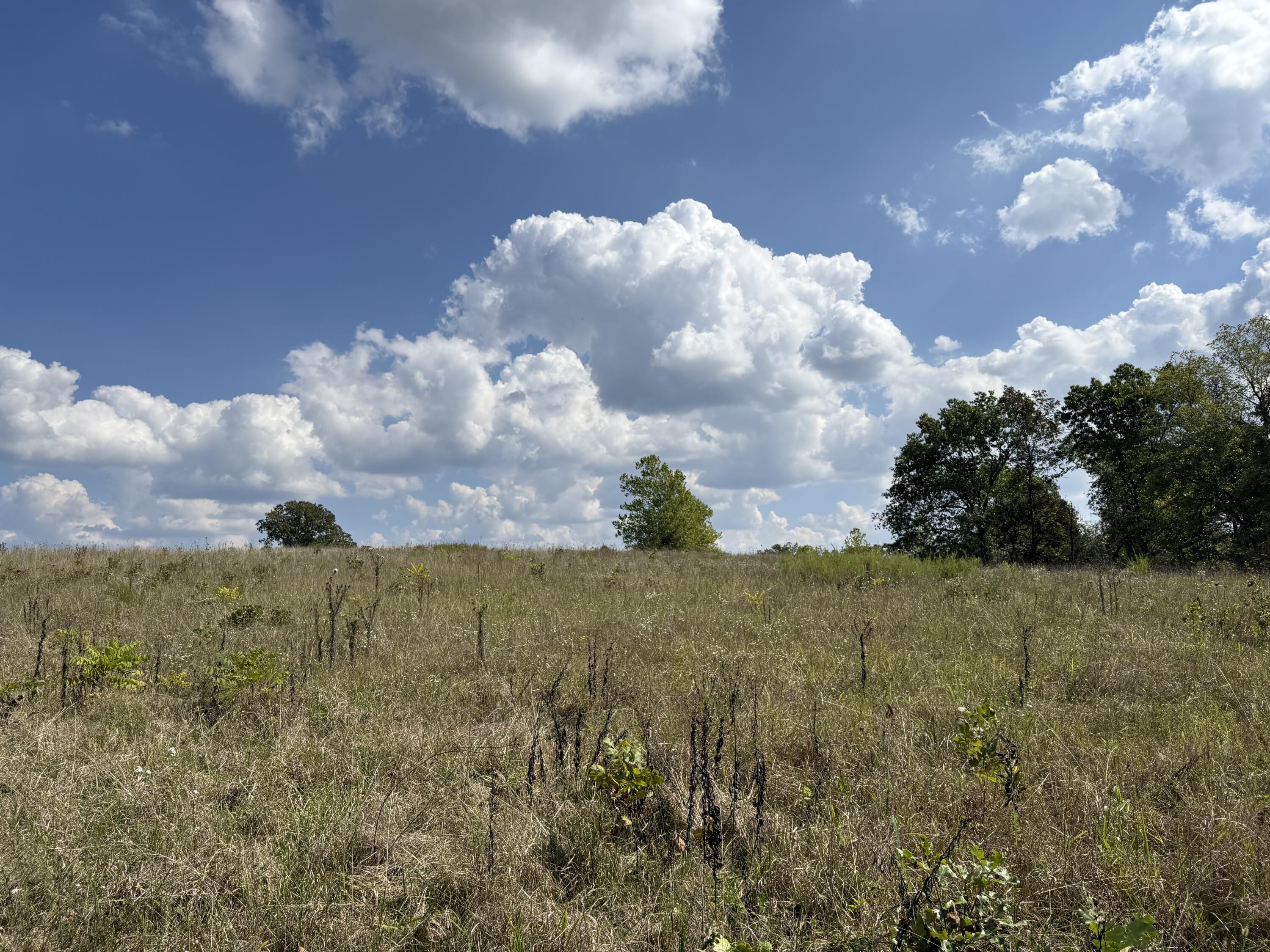 000 County Rd 6160 And 6210 Property Photo 7