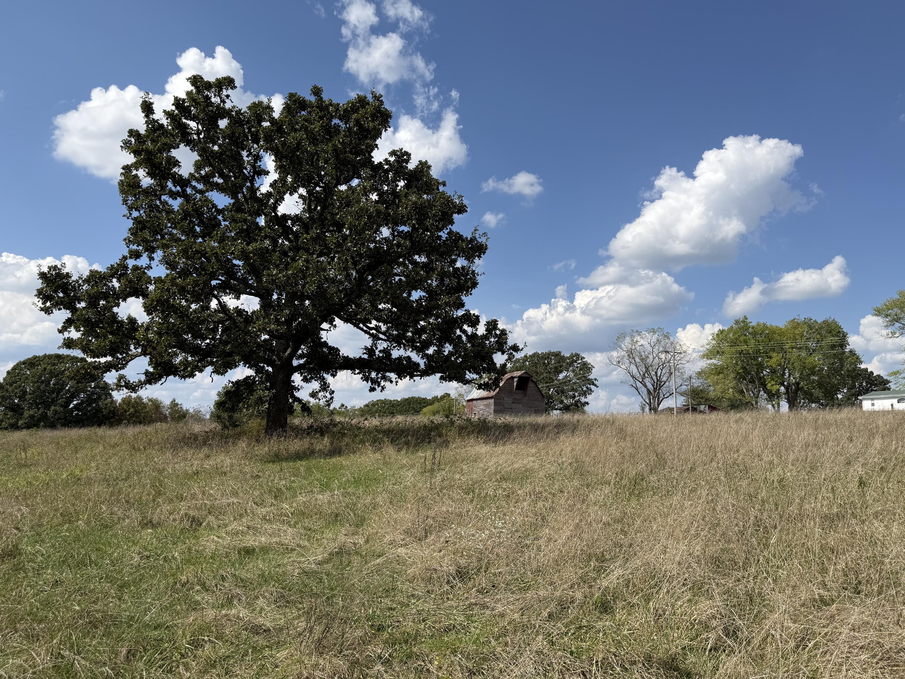 000 County Rd 6160 And 6210 Property Photo 8