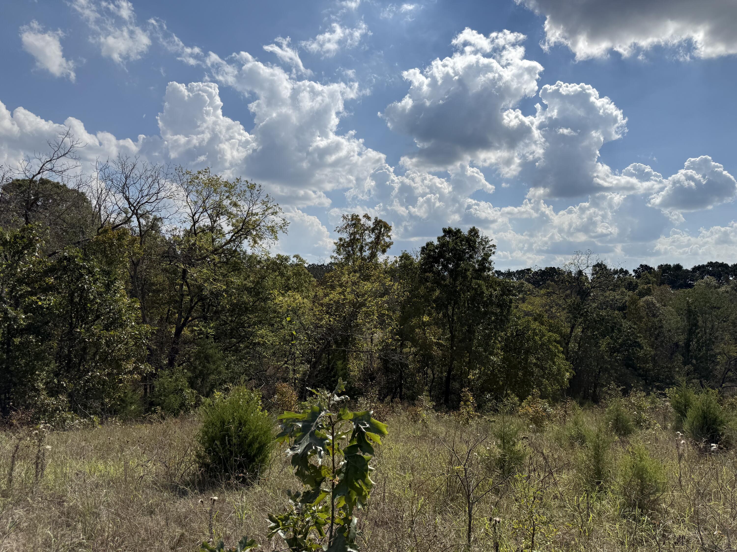 000 County Rd 6160 And 6210 Property Photo 10