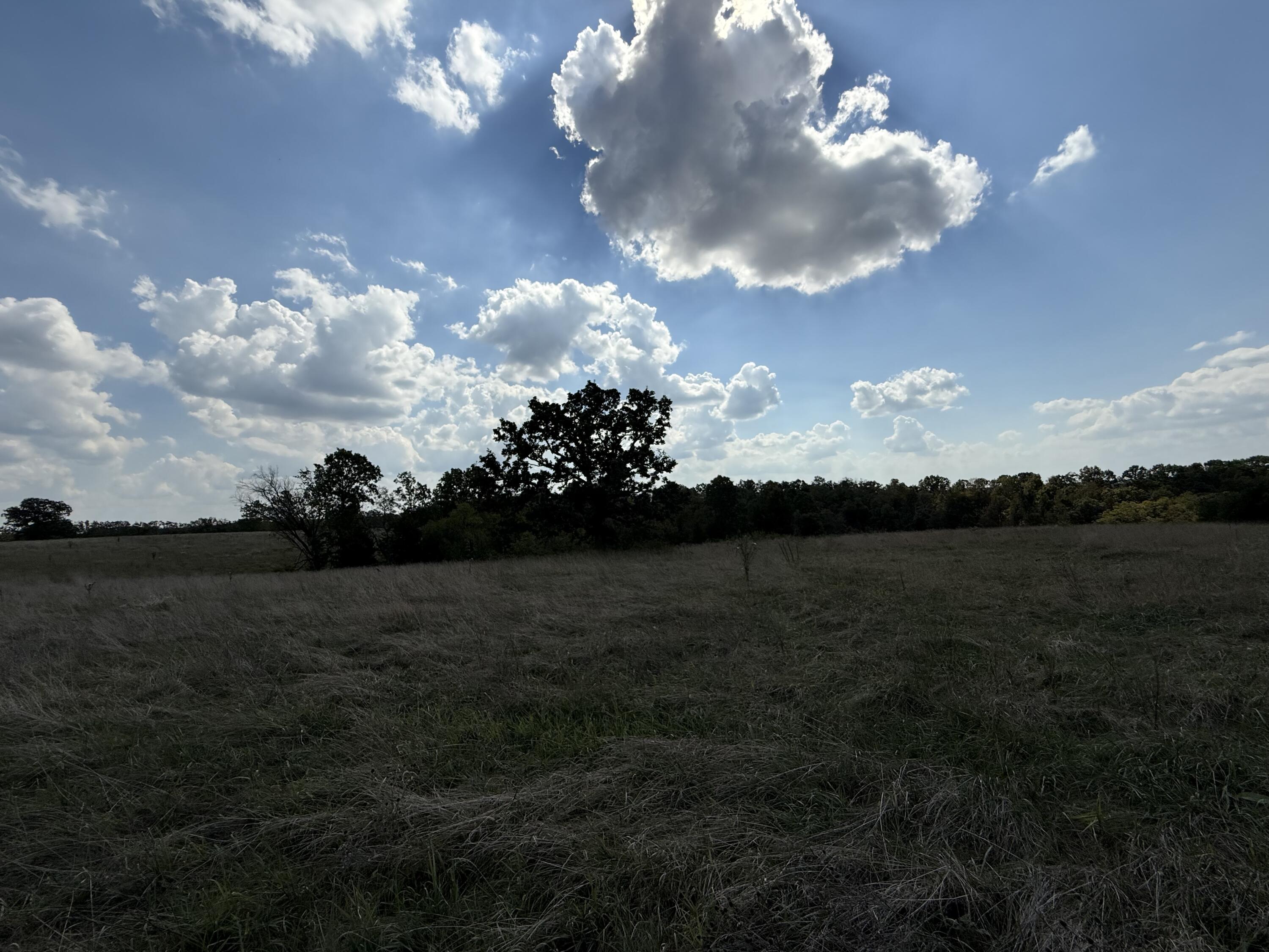 000 County Rd 6160 And 6210 Property Photo 12