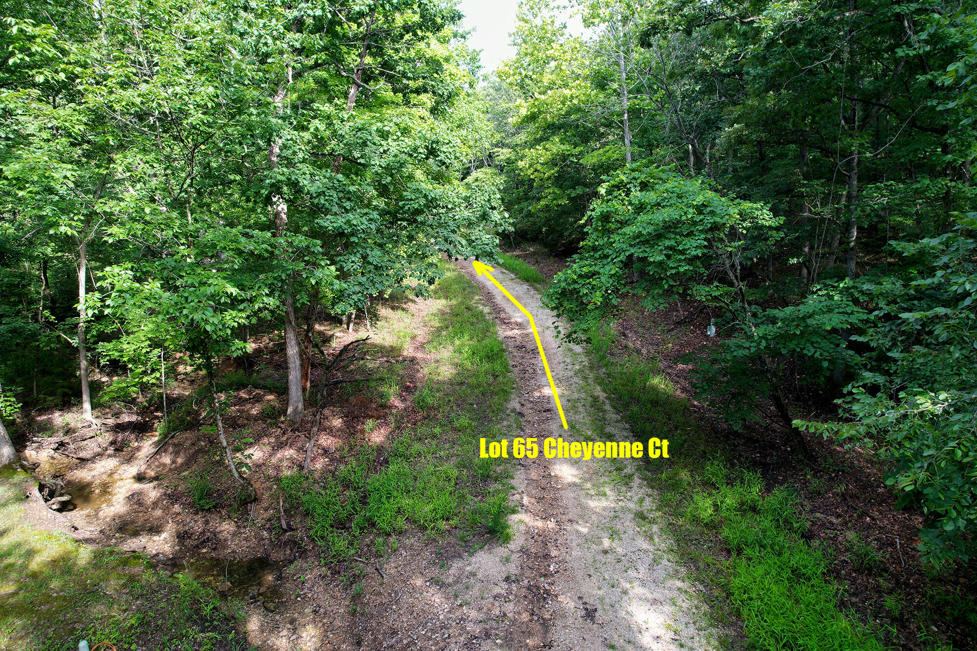 4 Lots Village Of The Four Seasons Property Photo 9