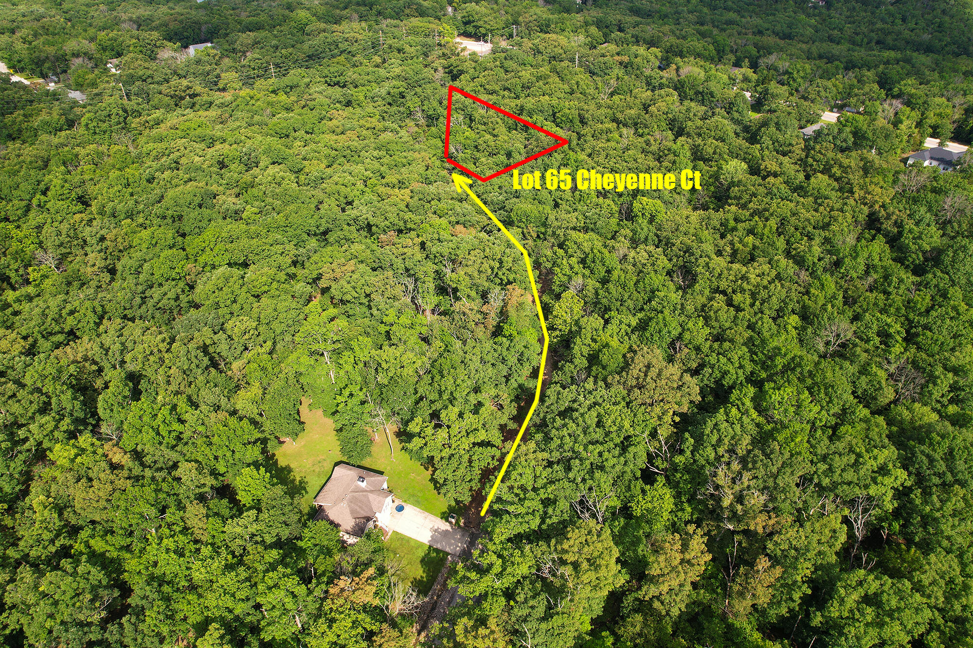 4 Lots Village Of The Four Seasons Property Photo 10