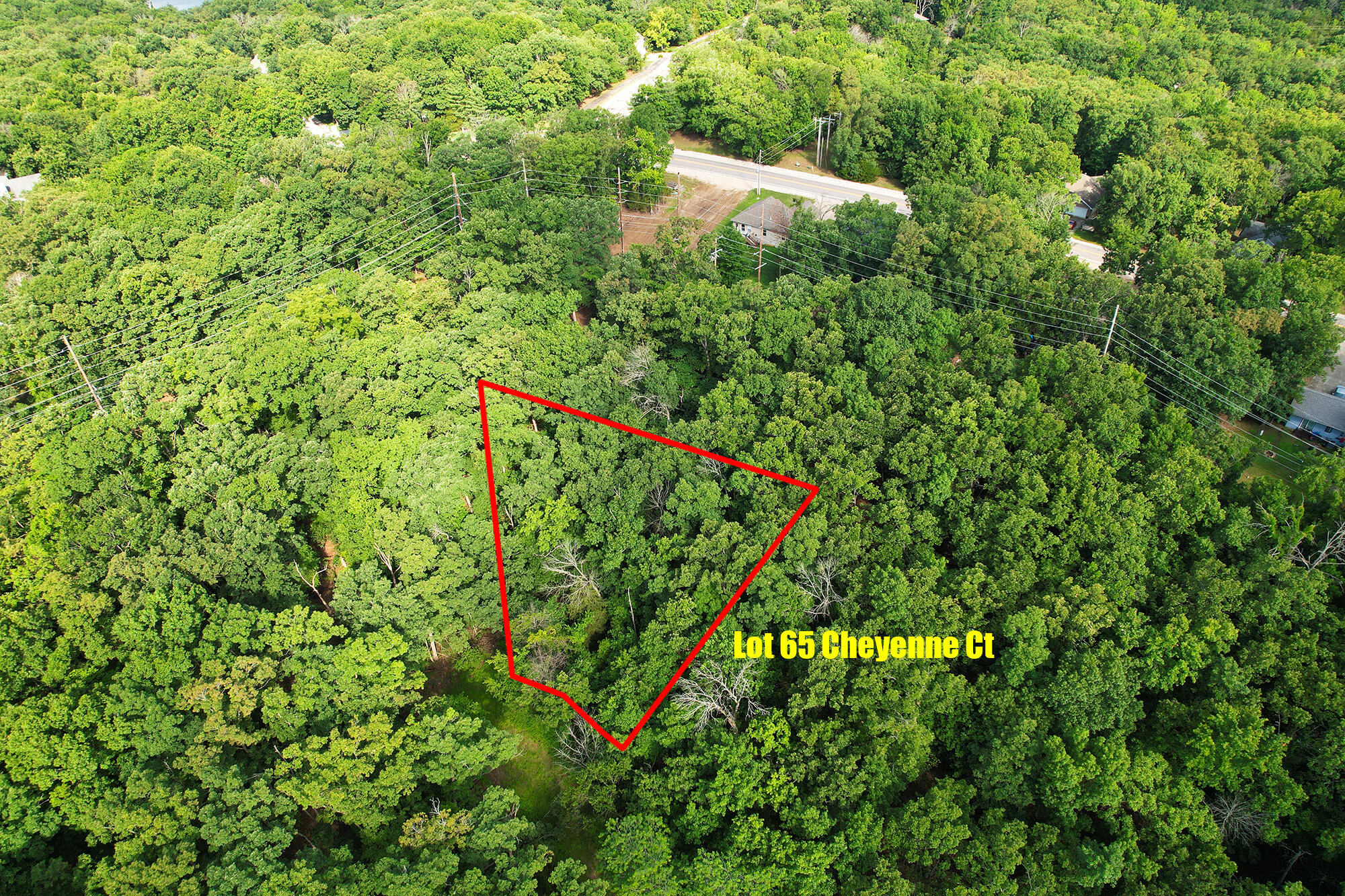 4 Lots Village Of The Four Seasons Property Photo 12