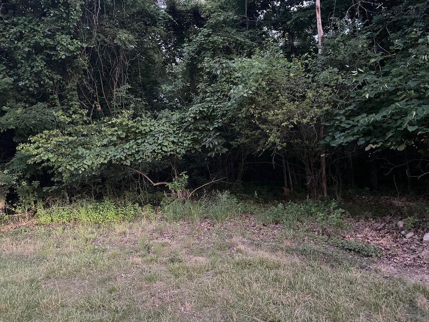 4 Lots Village Of The Four Seasons Property Photo 26