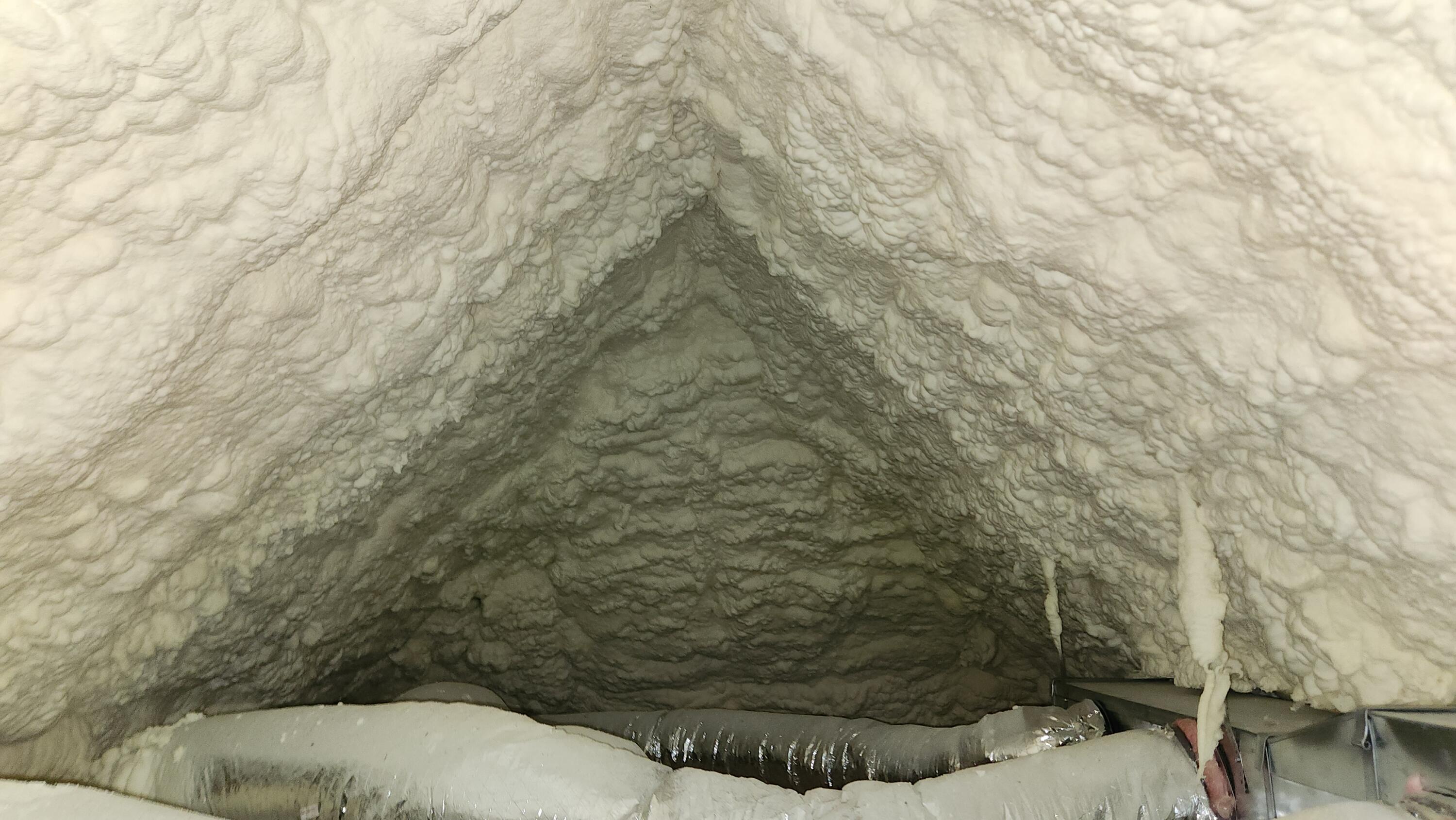 1006 West Walnut Street Property Photo 137