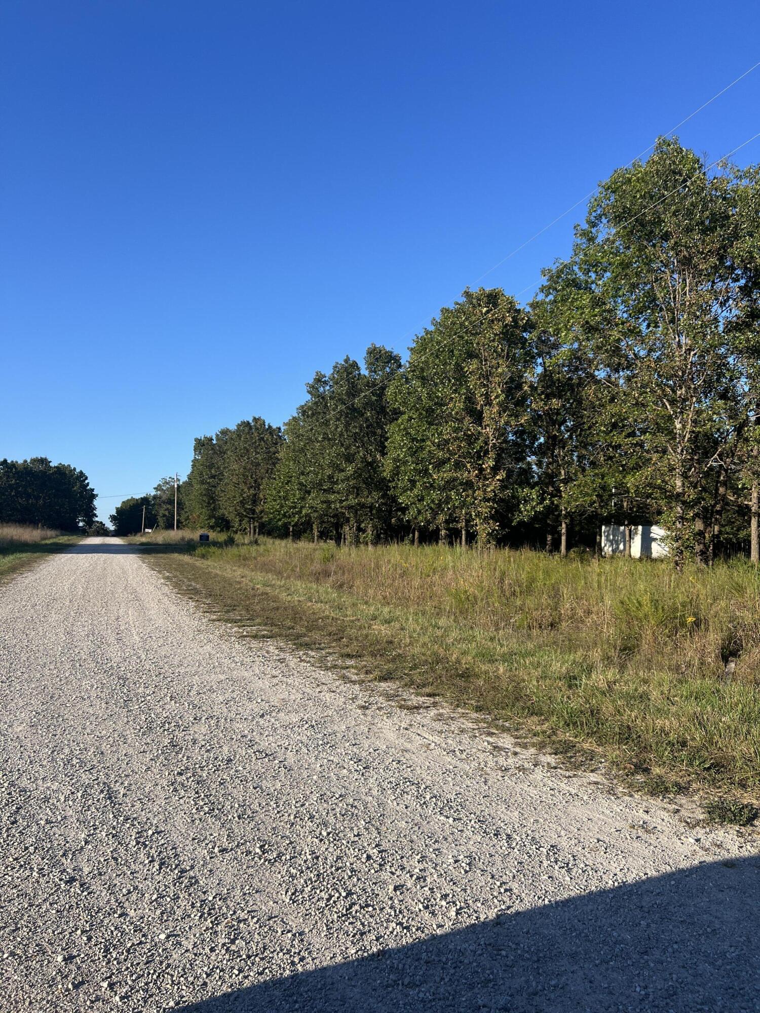 40 Buggy Drive Property Photo 2