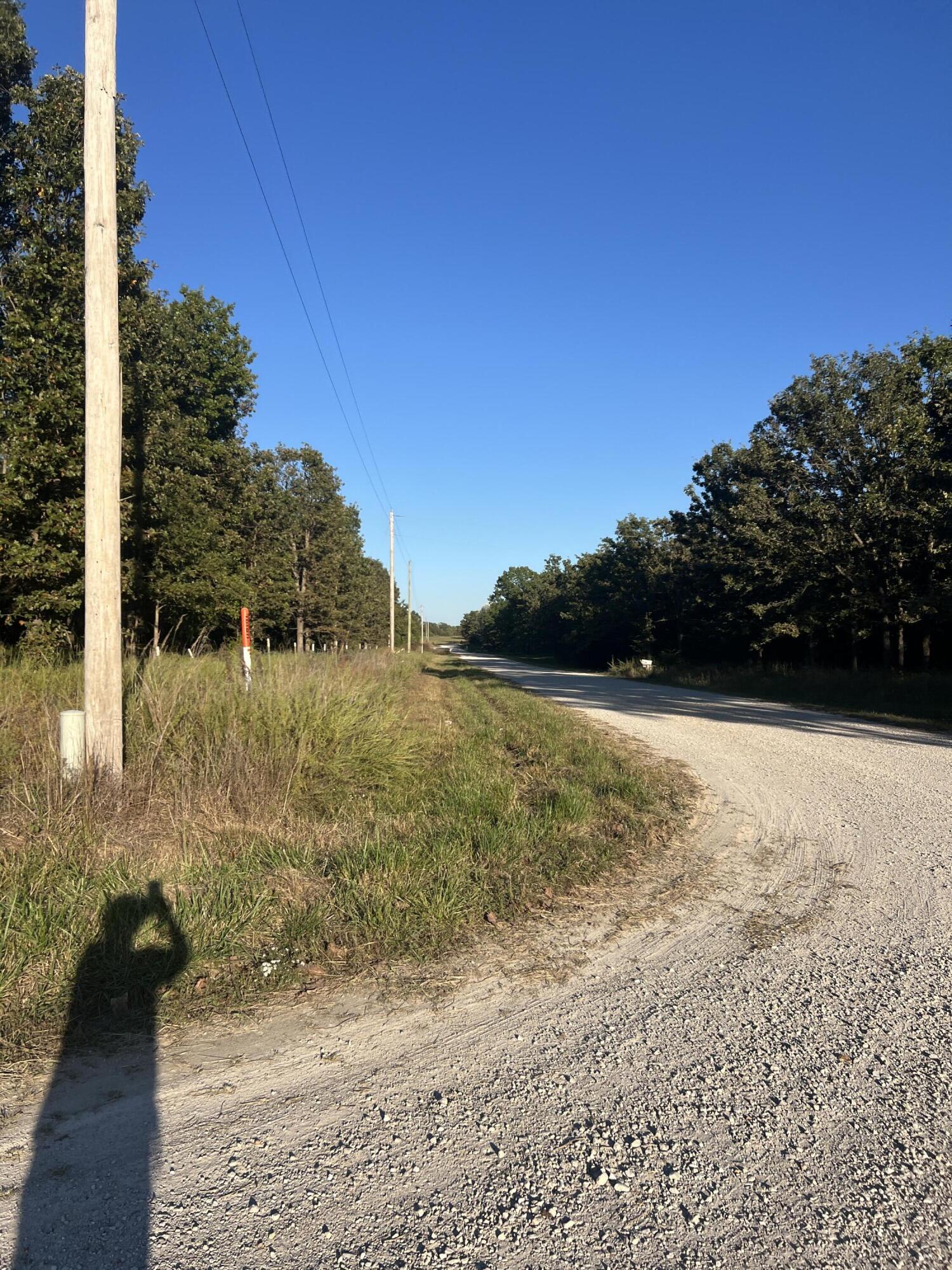 40 Buggy Drive Property Photo 3